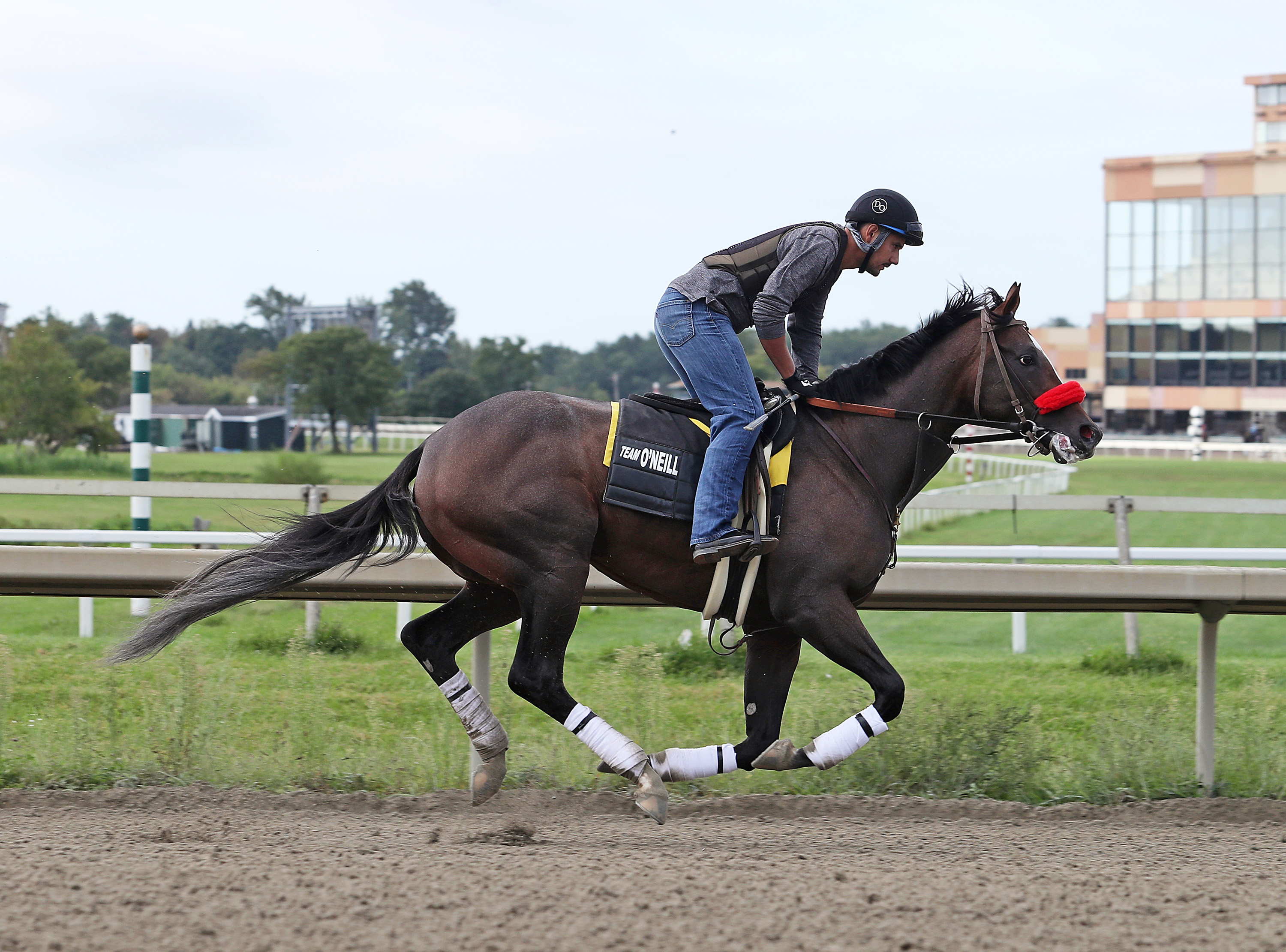 Hot Rod Charlie/Parx