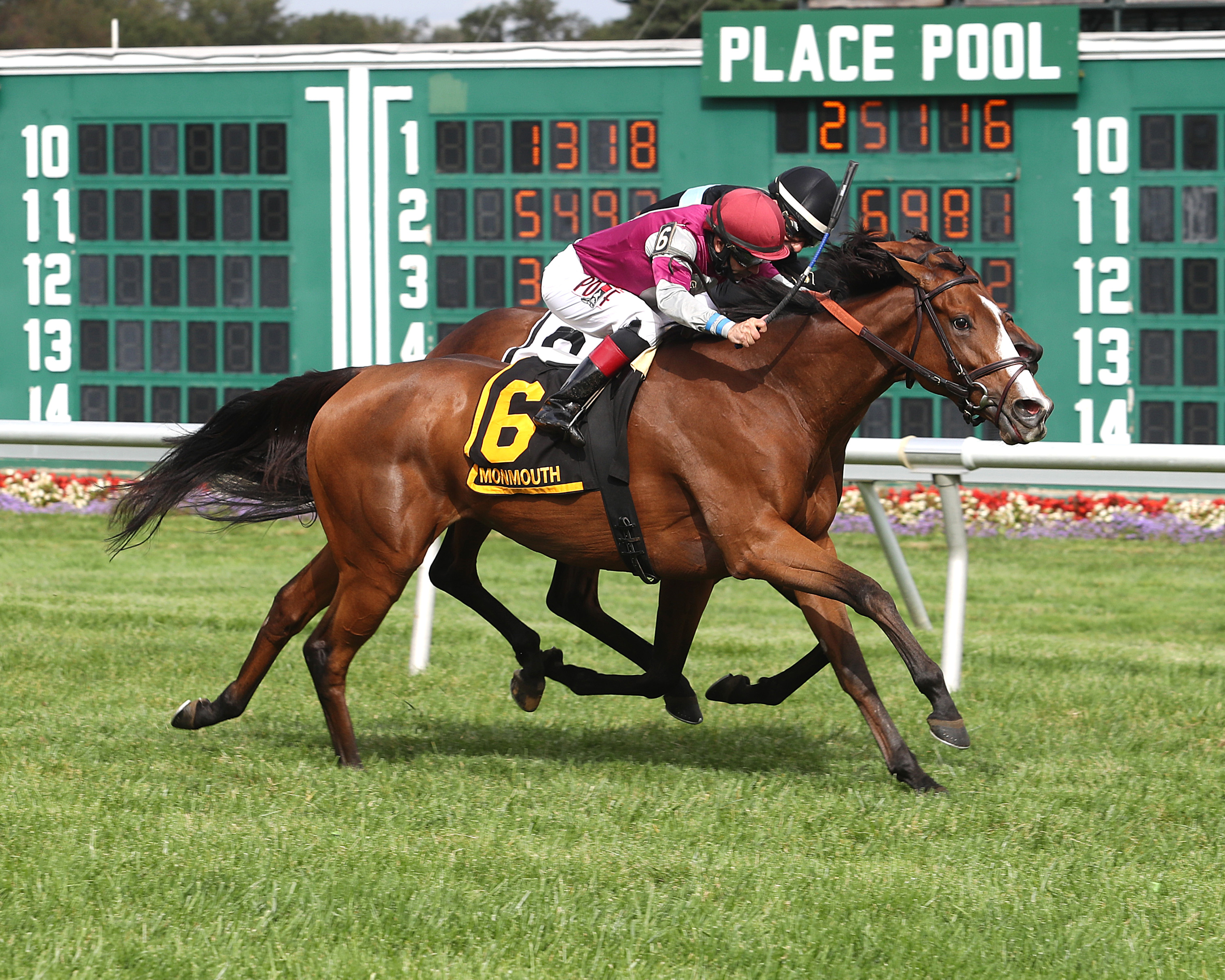 She's Got You wins Violet Stakes 9-26-2020