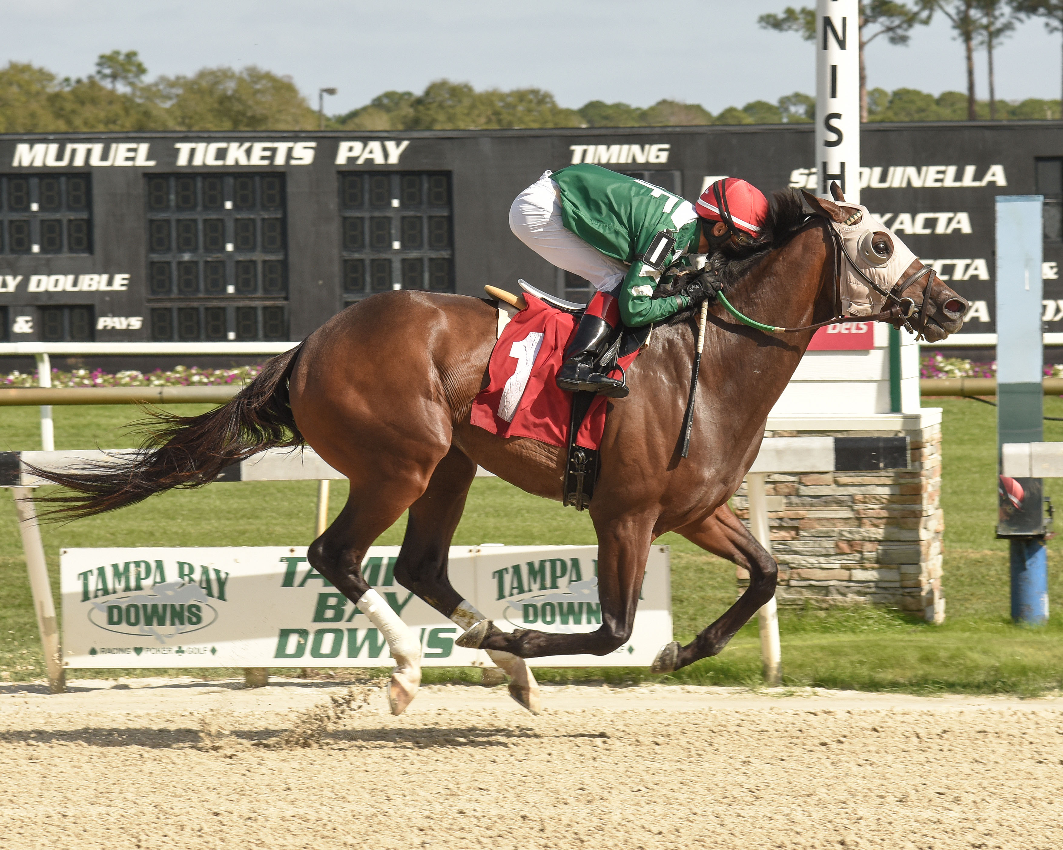 Liam-s Lucky Charm wins the 2020 Pasco Stakes