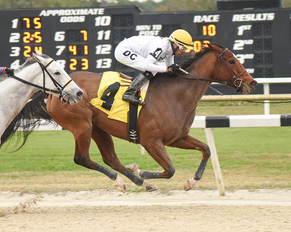 Well Humored wins the 2018 Wayward Lass Stakes