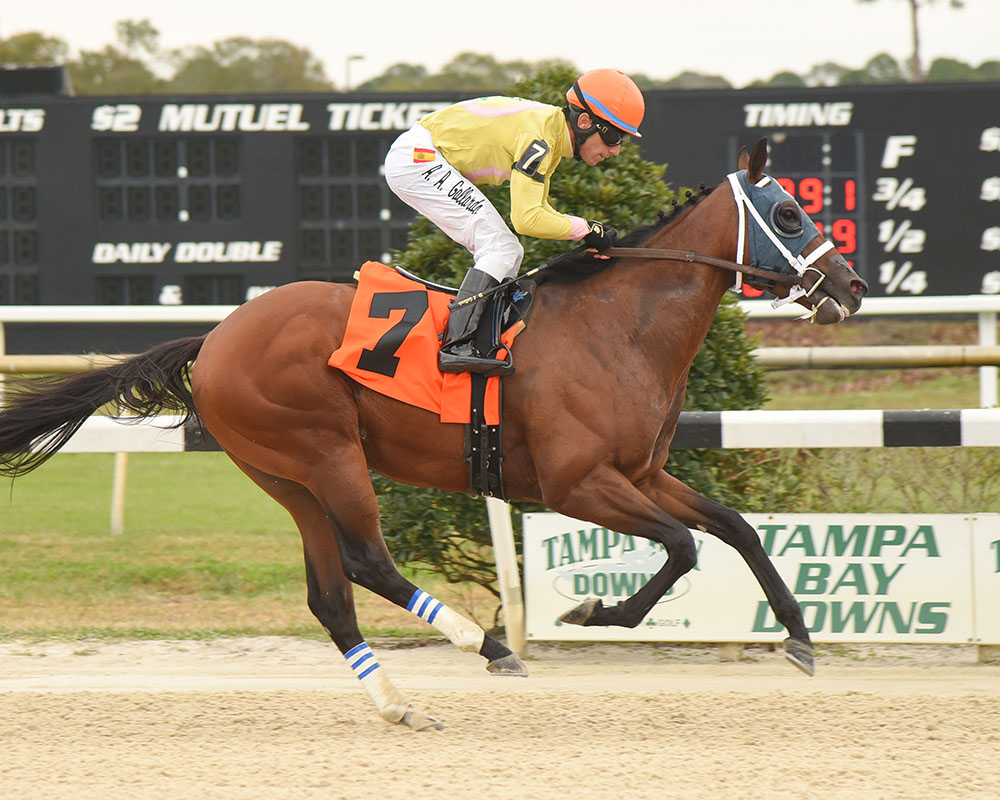 World of Trouble wins the 2018 Pasco Stakes
