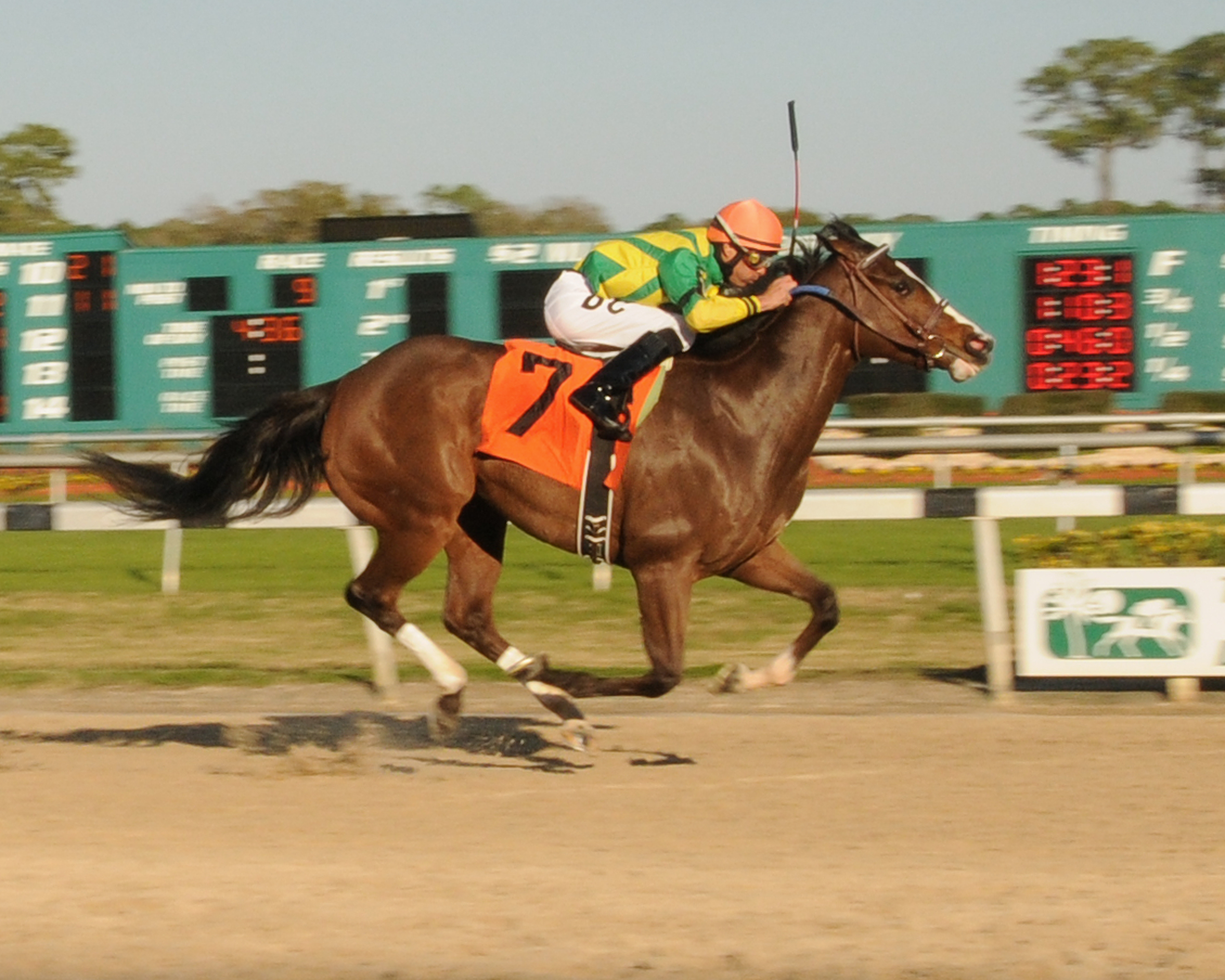 Hyperlink 1-29-2011