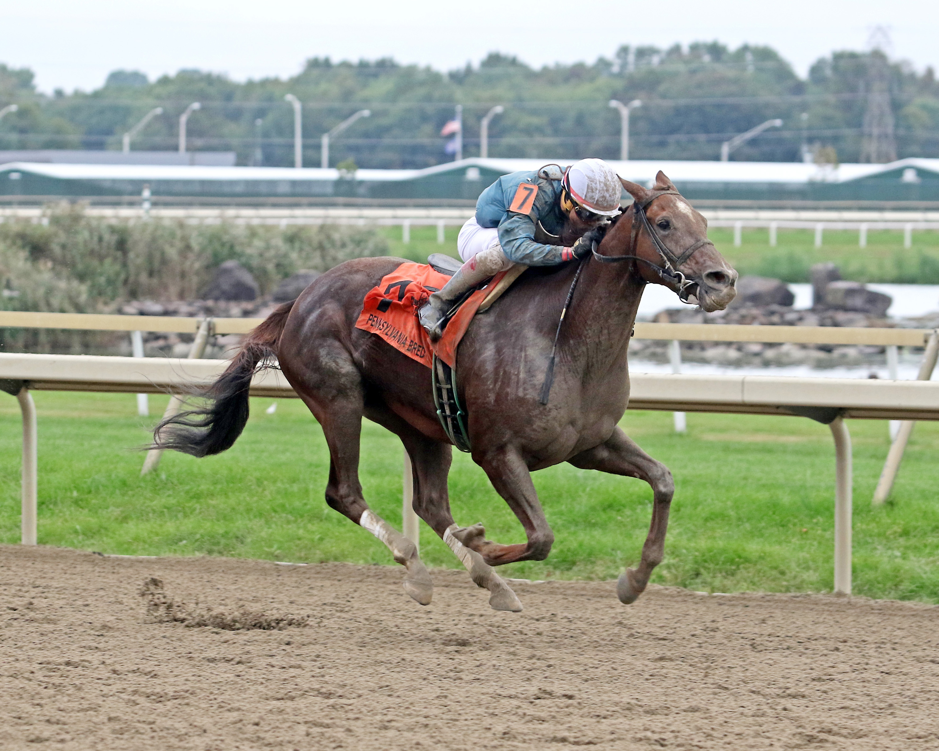 Imply wins 2018 Plum Pretty
