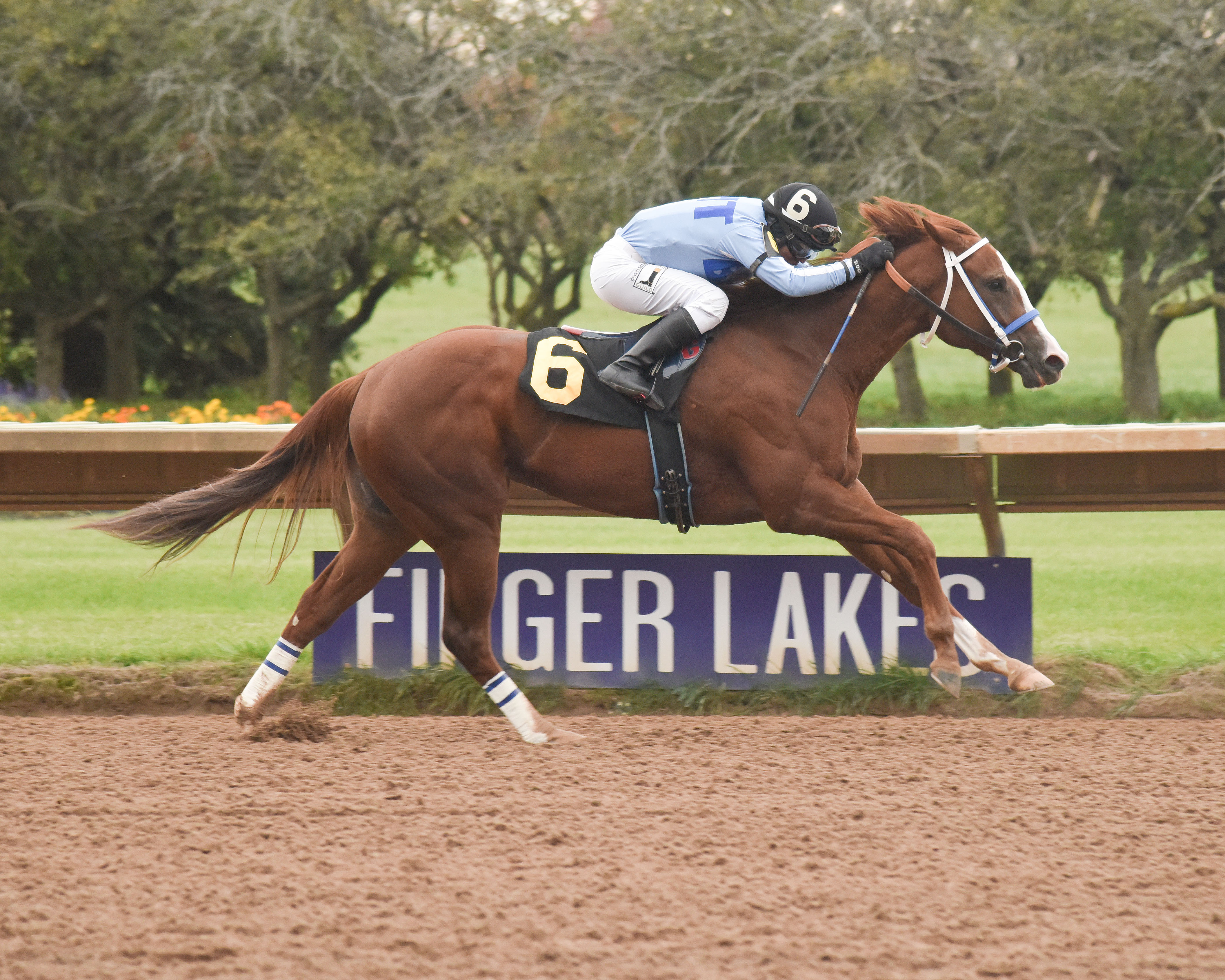 Sassy Agnes wins the 2018 Shesastonecoldfox Stakes