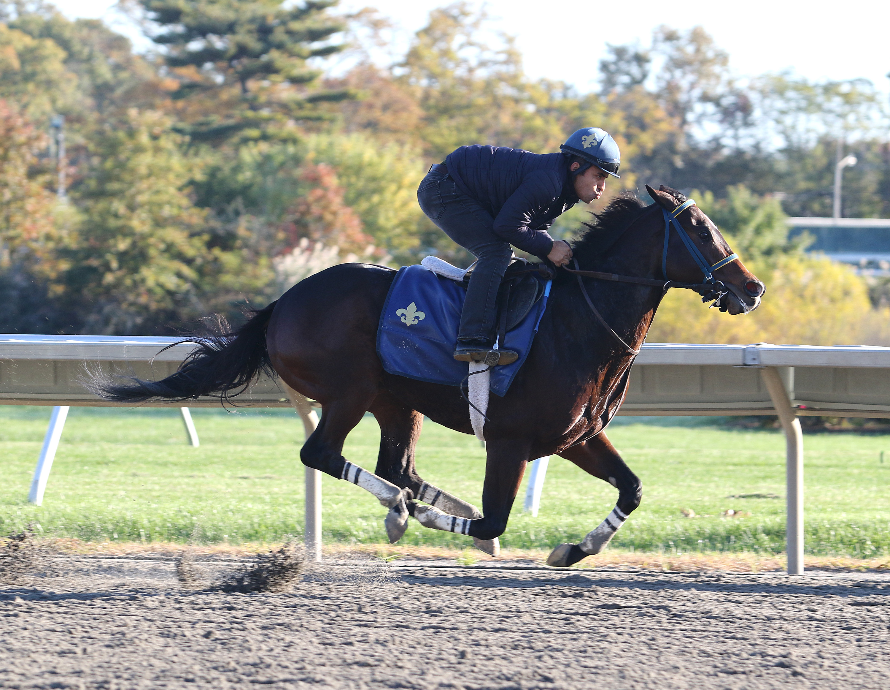 Imperial Hint works at Monmouth Park on 10.24.19