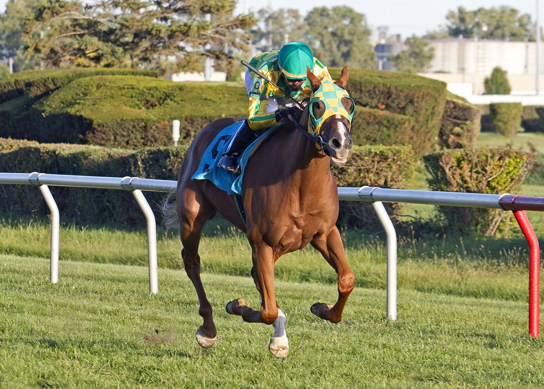 Trail Ridge Road/Illini Princess Stakes