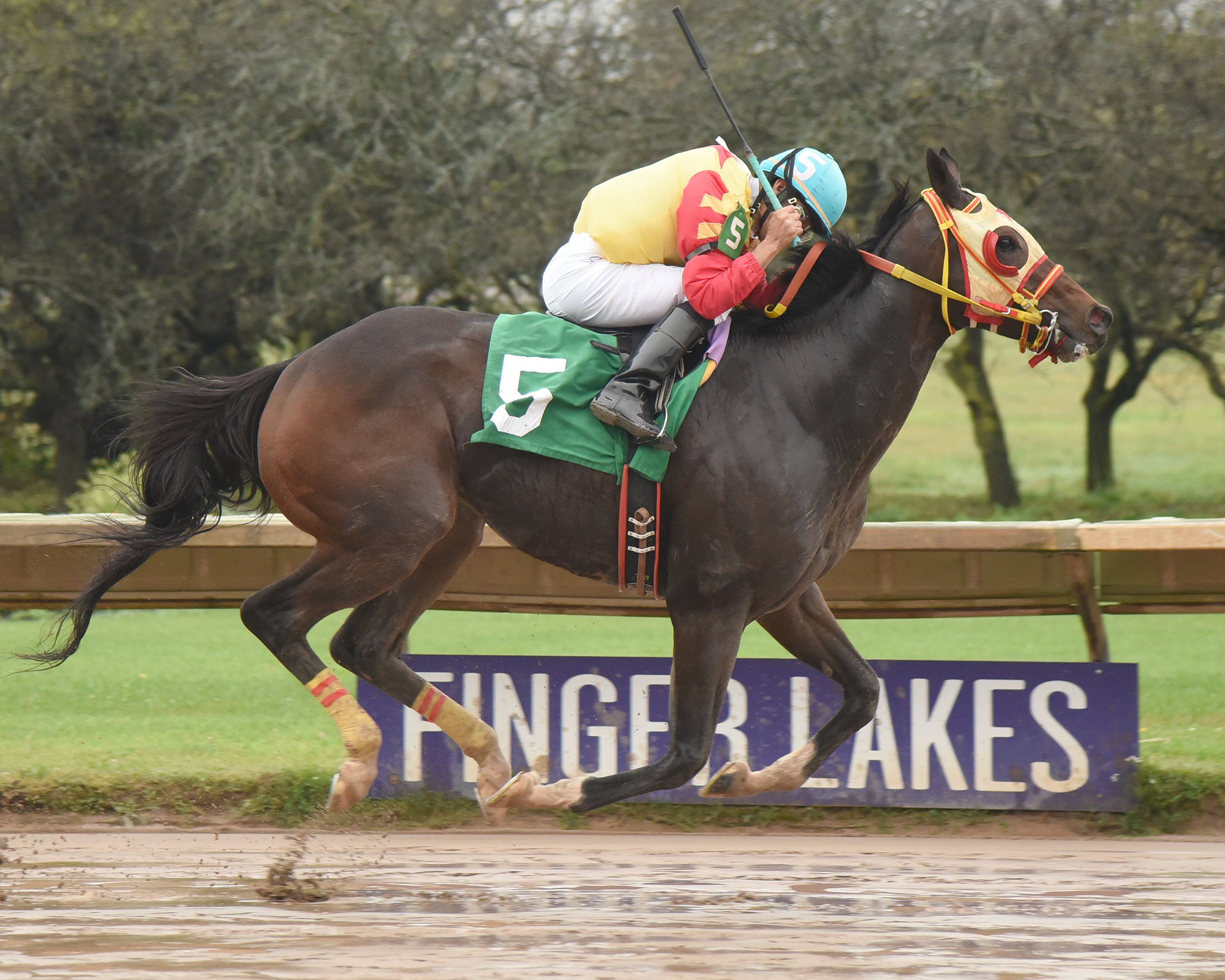 Breakin the Fever wins Leon Reed Memoria