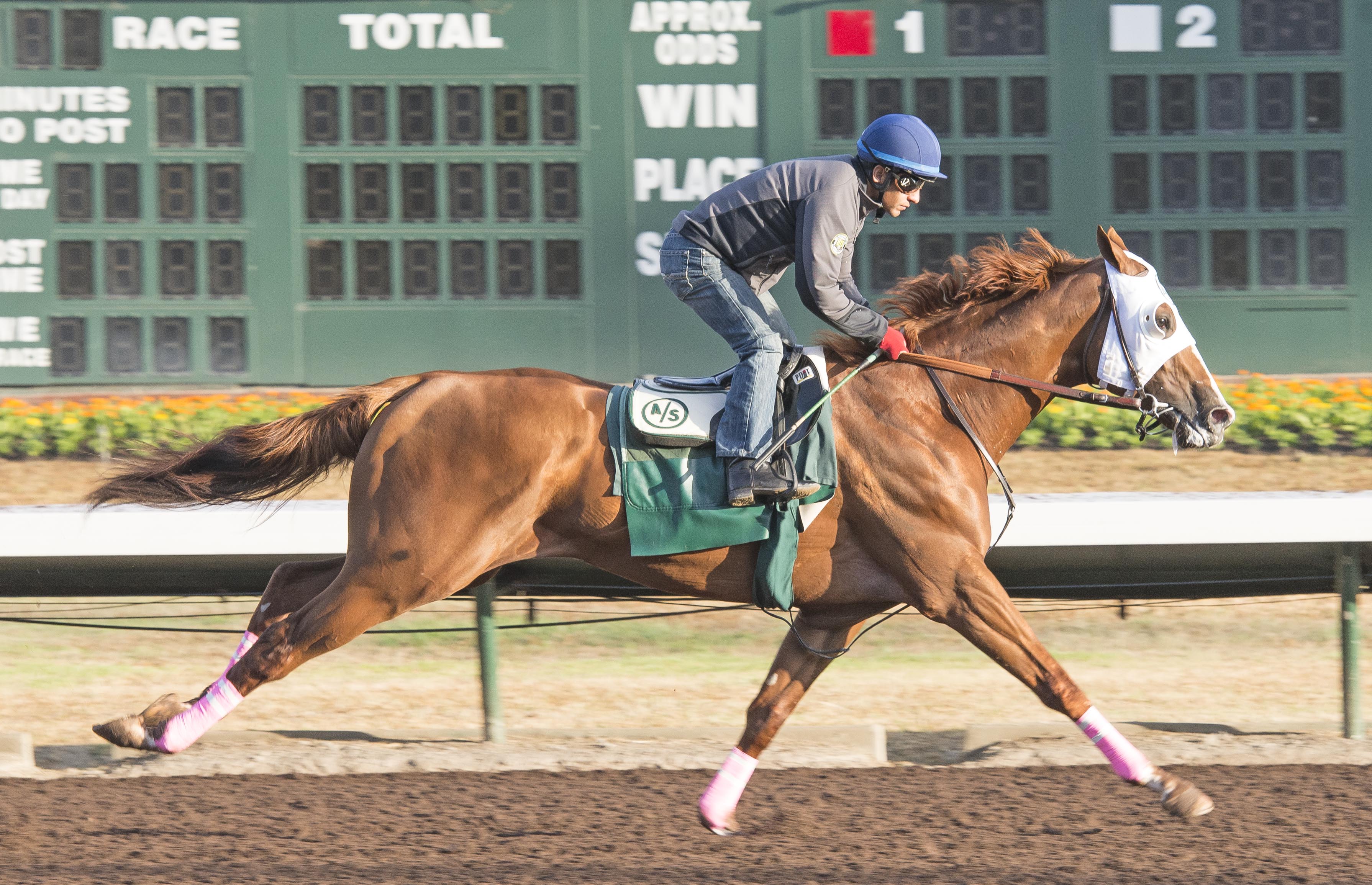 California Chrome