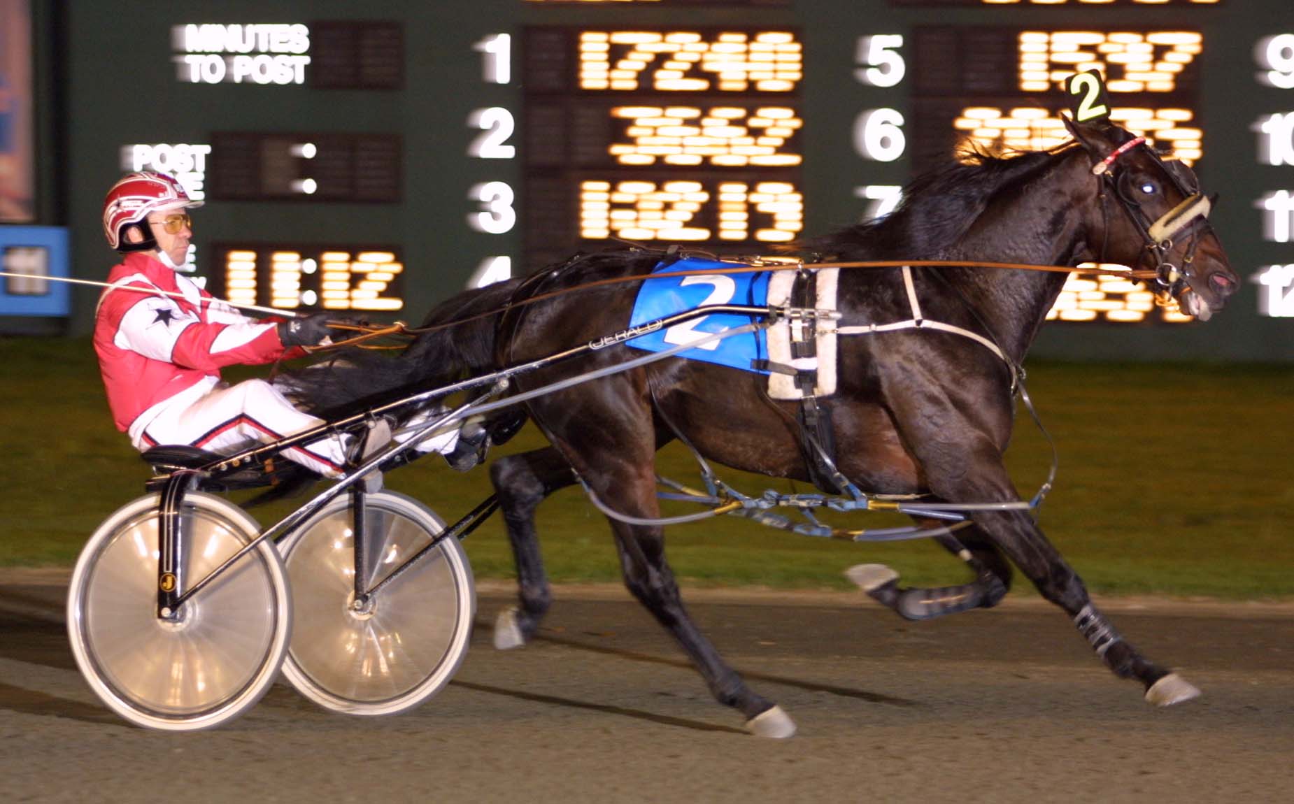 Bettor's Delight