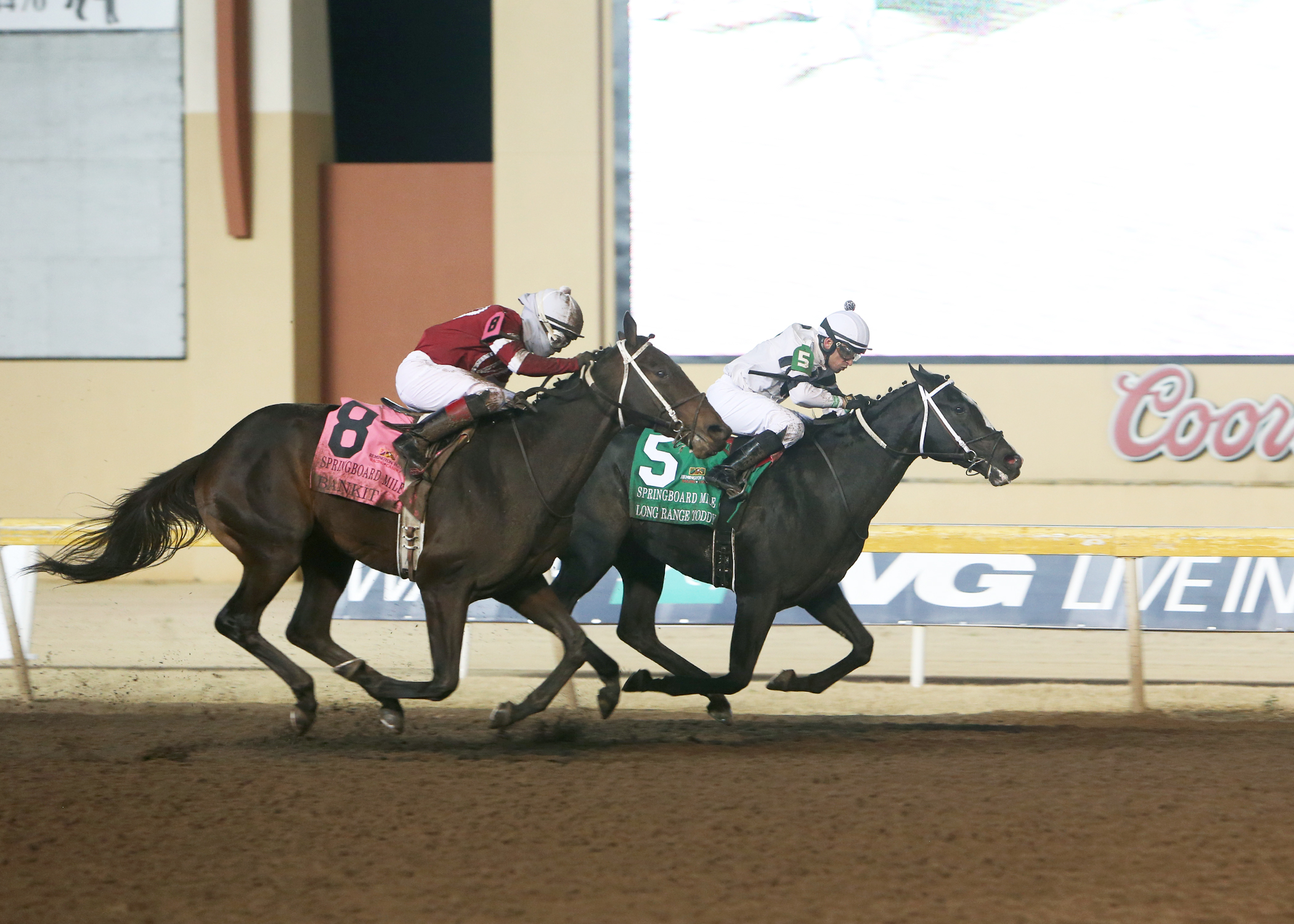 Long Range Toddy wins 2018 Springboard Mile