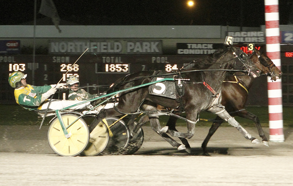 Sassa Hanover_Courageous Lady