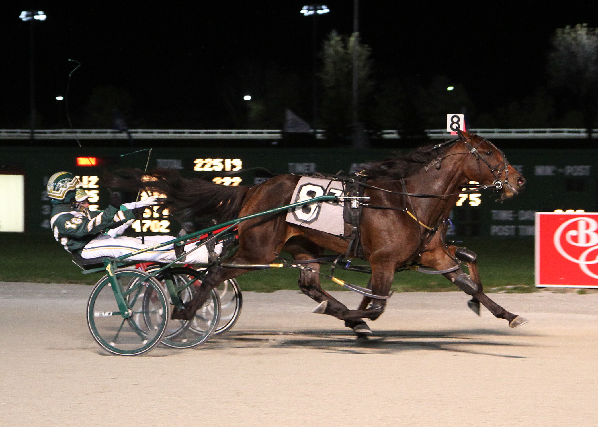 Charisma Hanover_American Nat