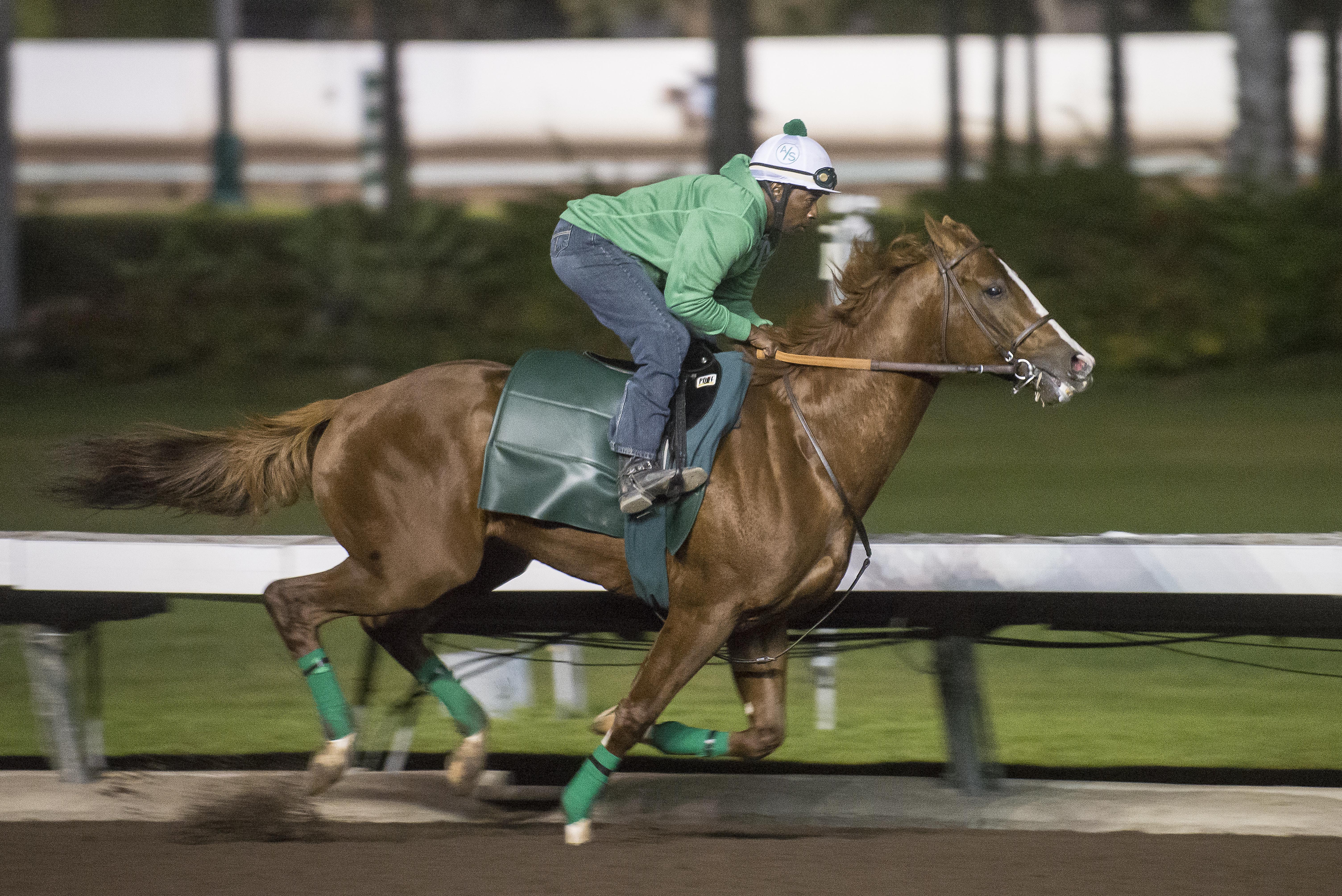 California Chrome