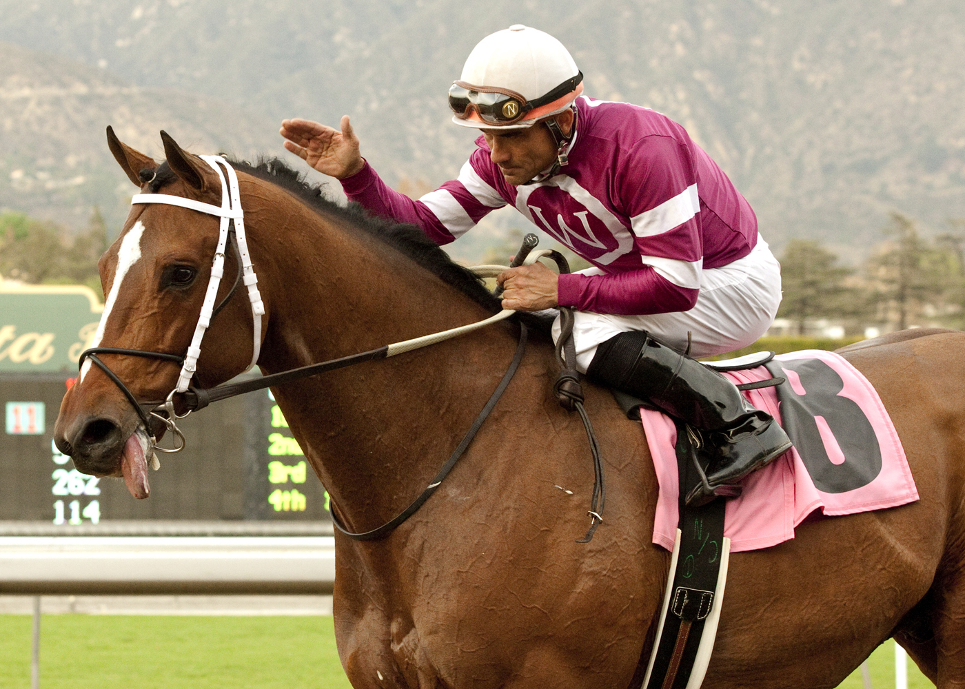 Tapizar 1-14-12