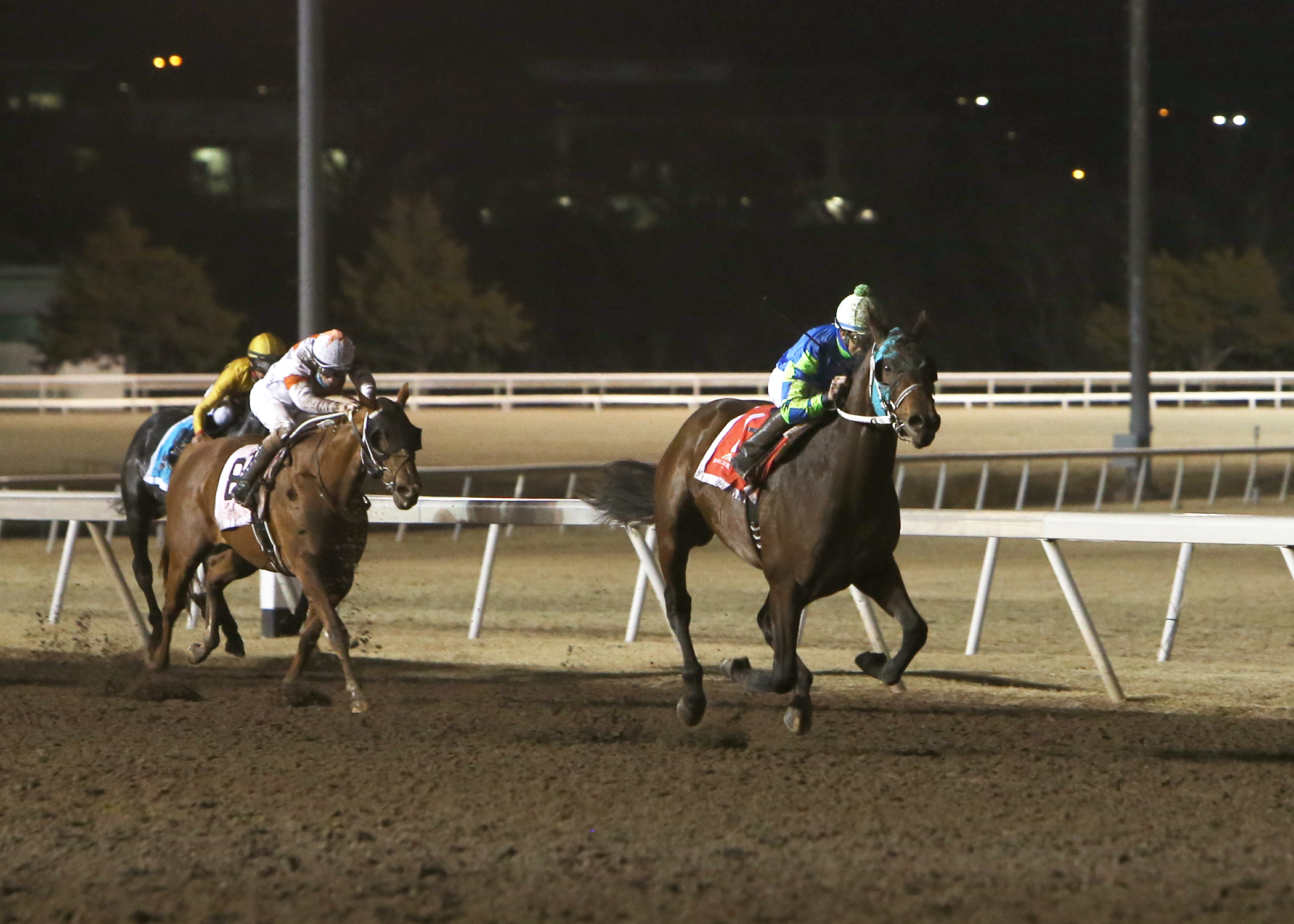 Senor Buscador wins Springboard Mile 12-18-2020