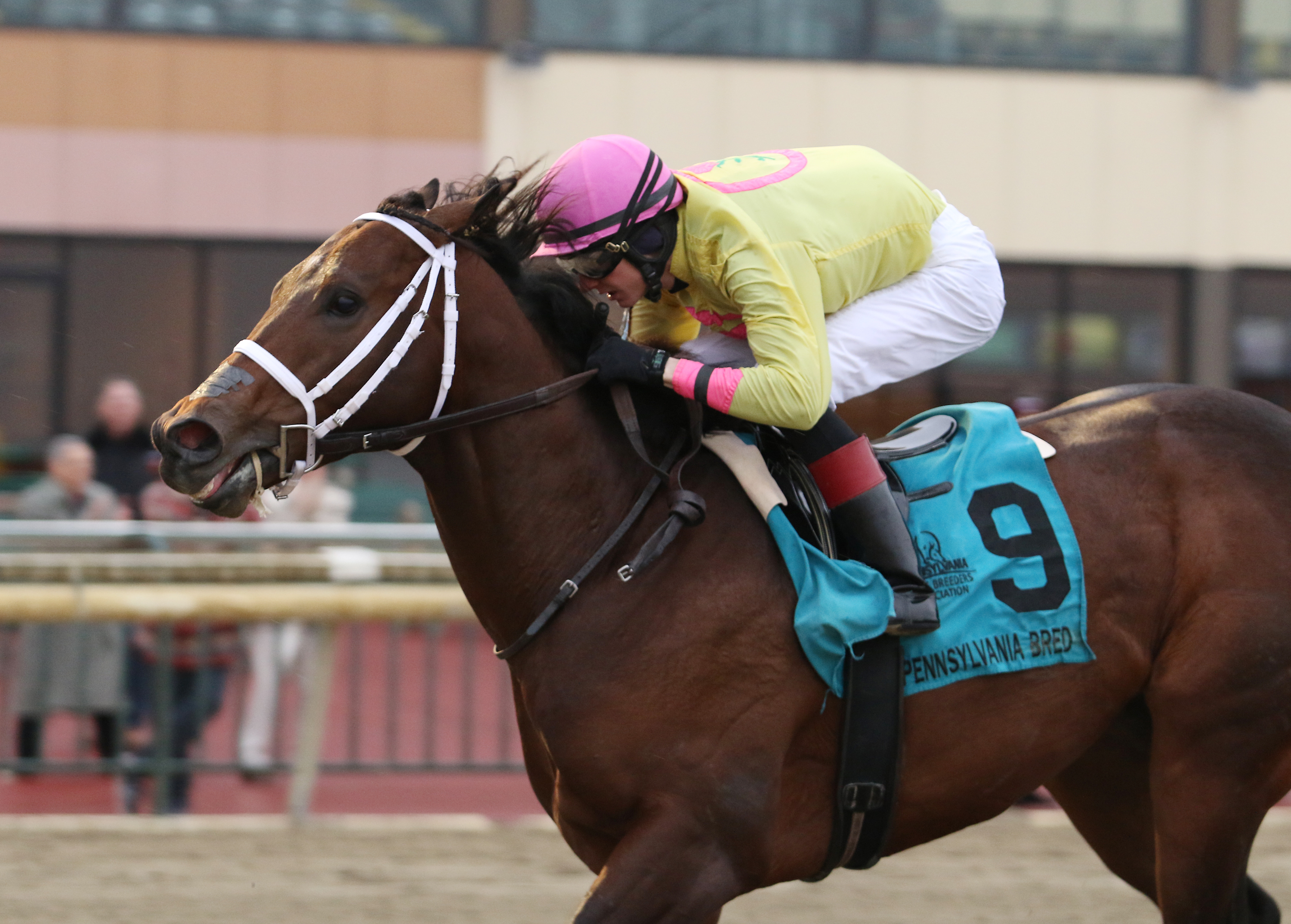 Call Paul wins the 2018 Pennsylvania Nursery Stakes