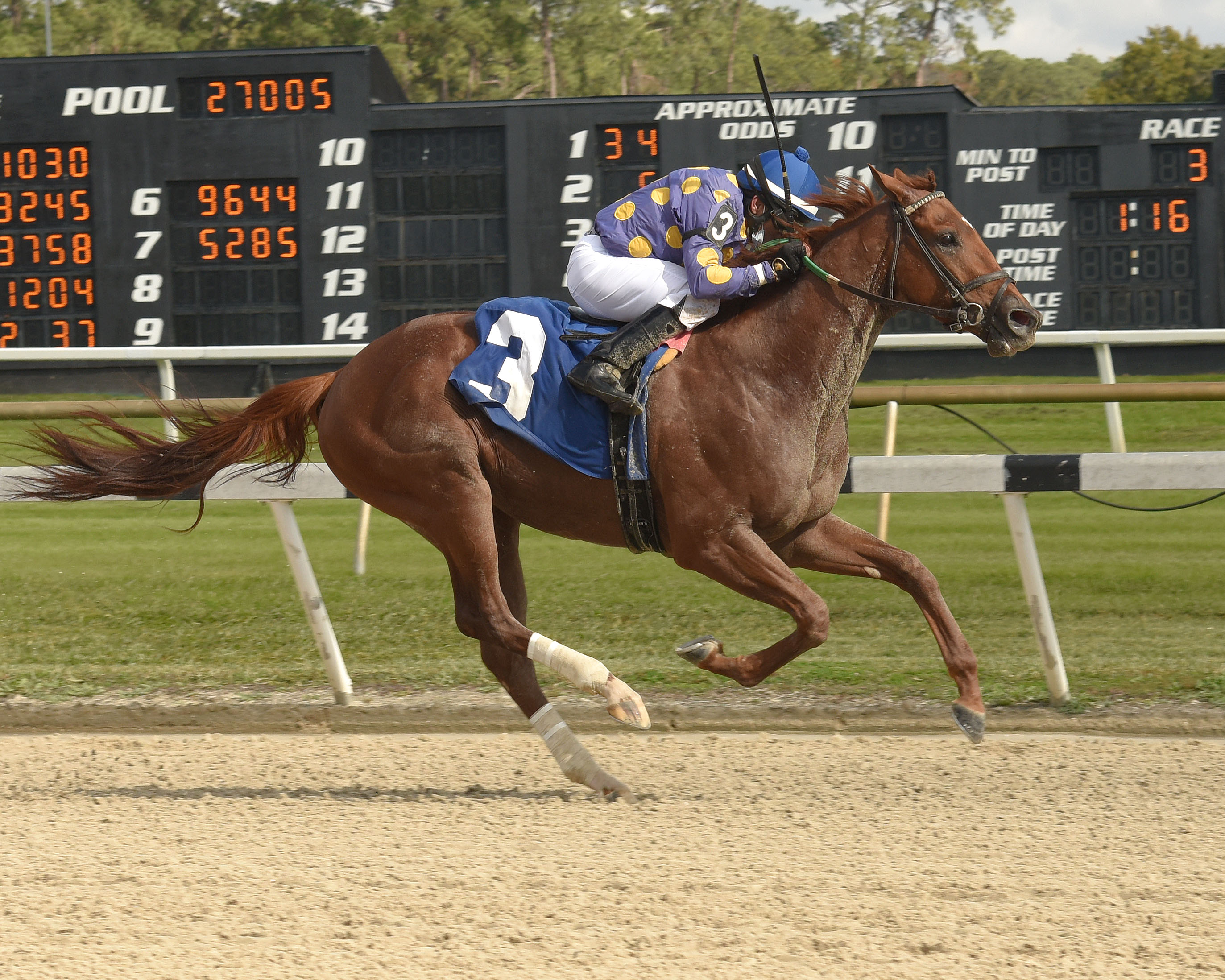 Shivaree wins Marion County 12-12-2020