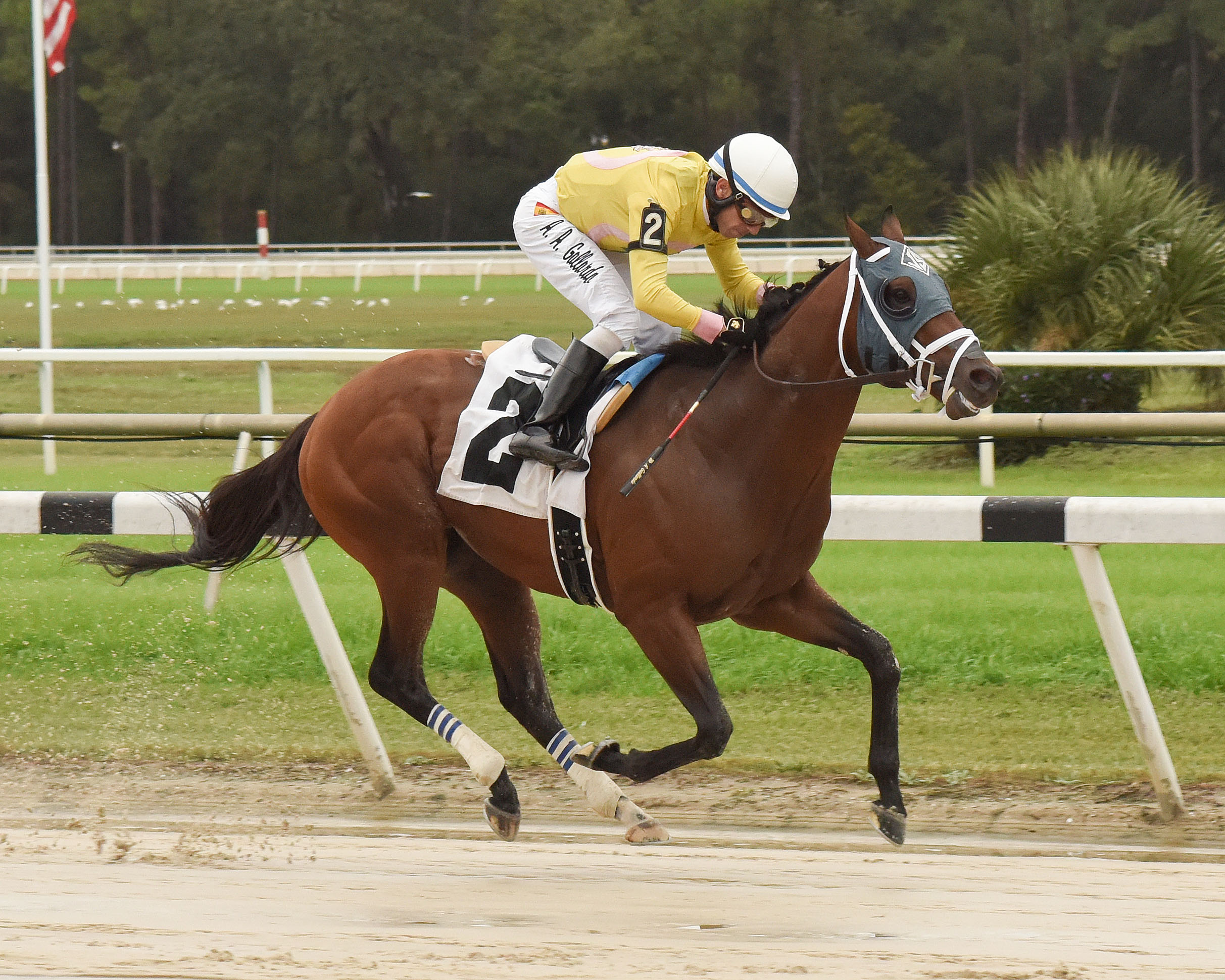 World of Trouble wins the 2018 Marion County Stakes