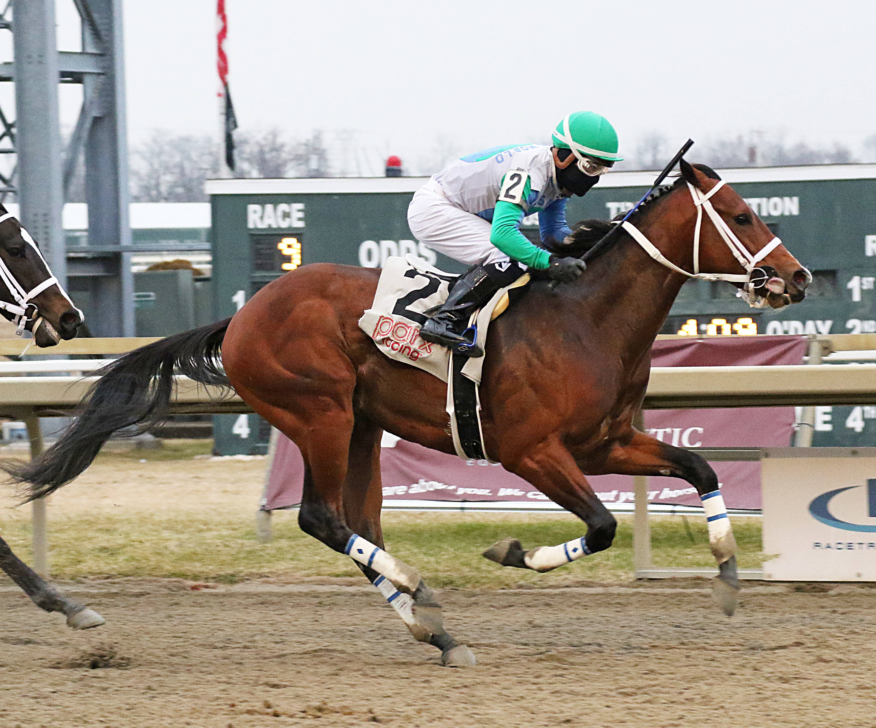 Dance Code, Parx Juvenile