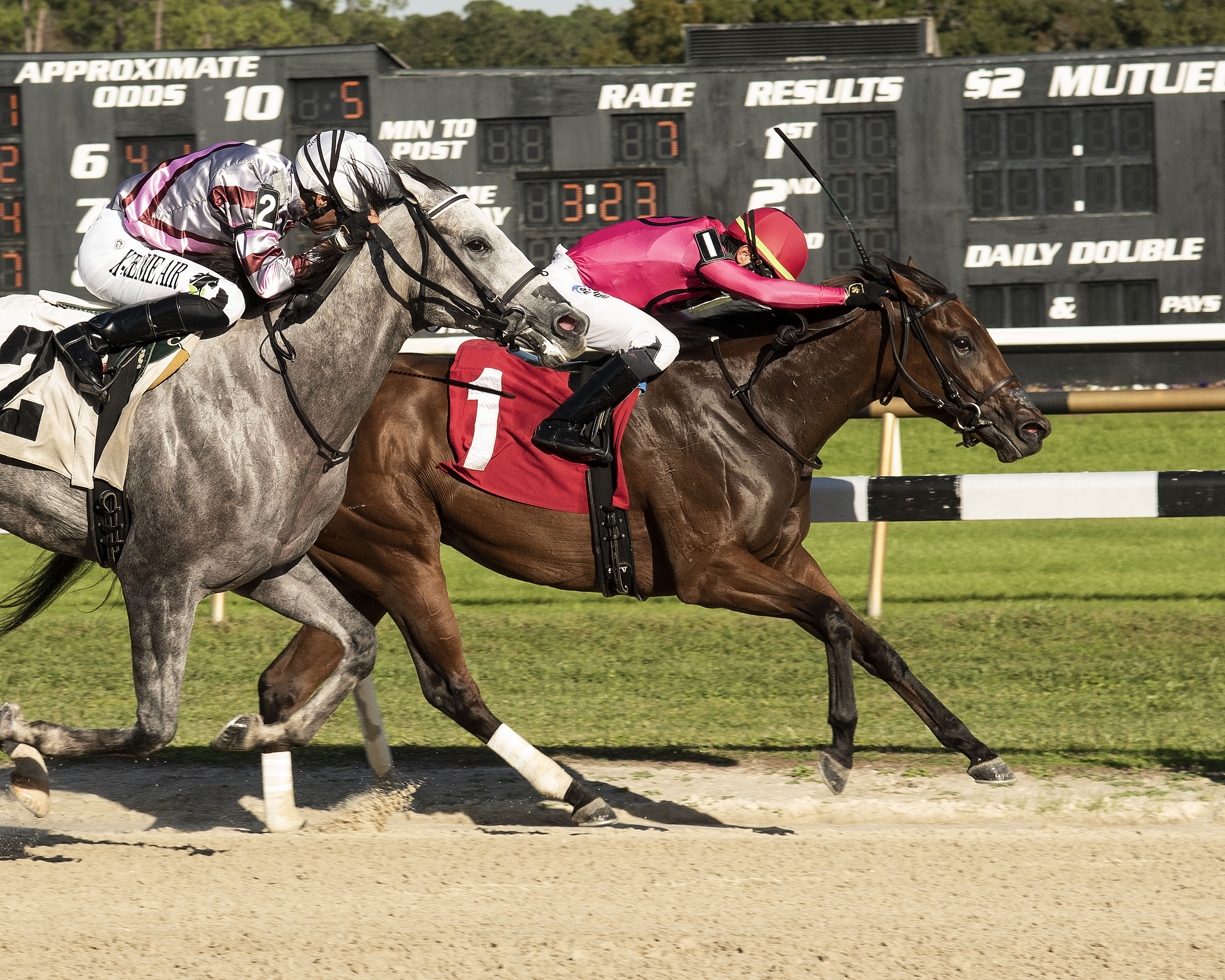 Strategic Bird wins Sandpiper Stakes - 12-04-2021