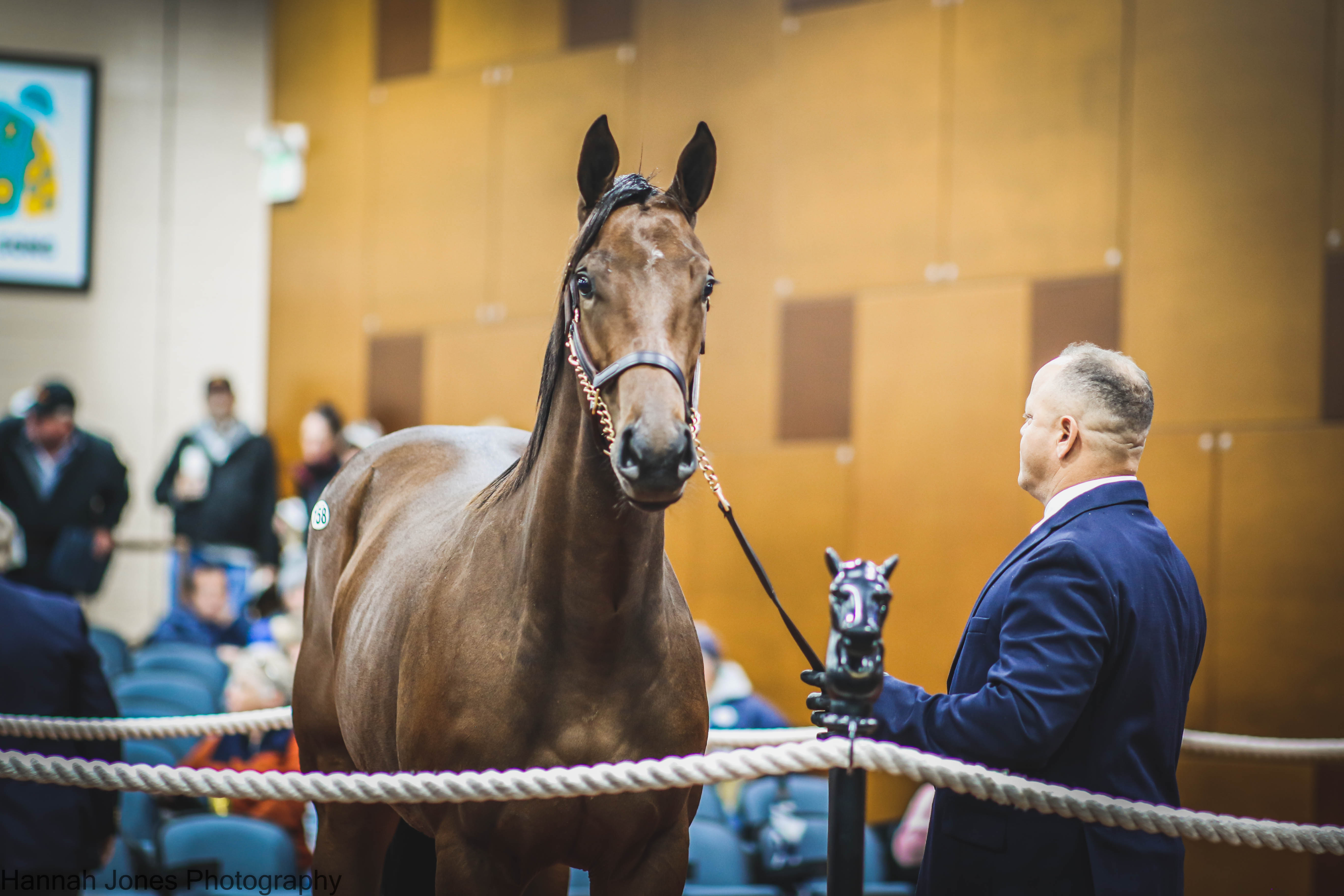 Uncle Mo filly/FT Midlantic