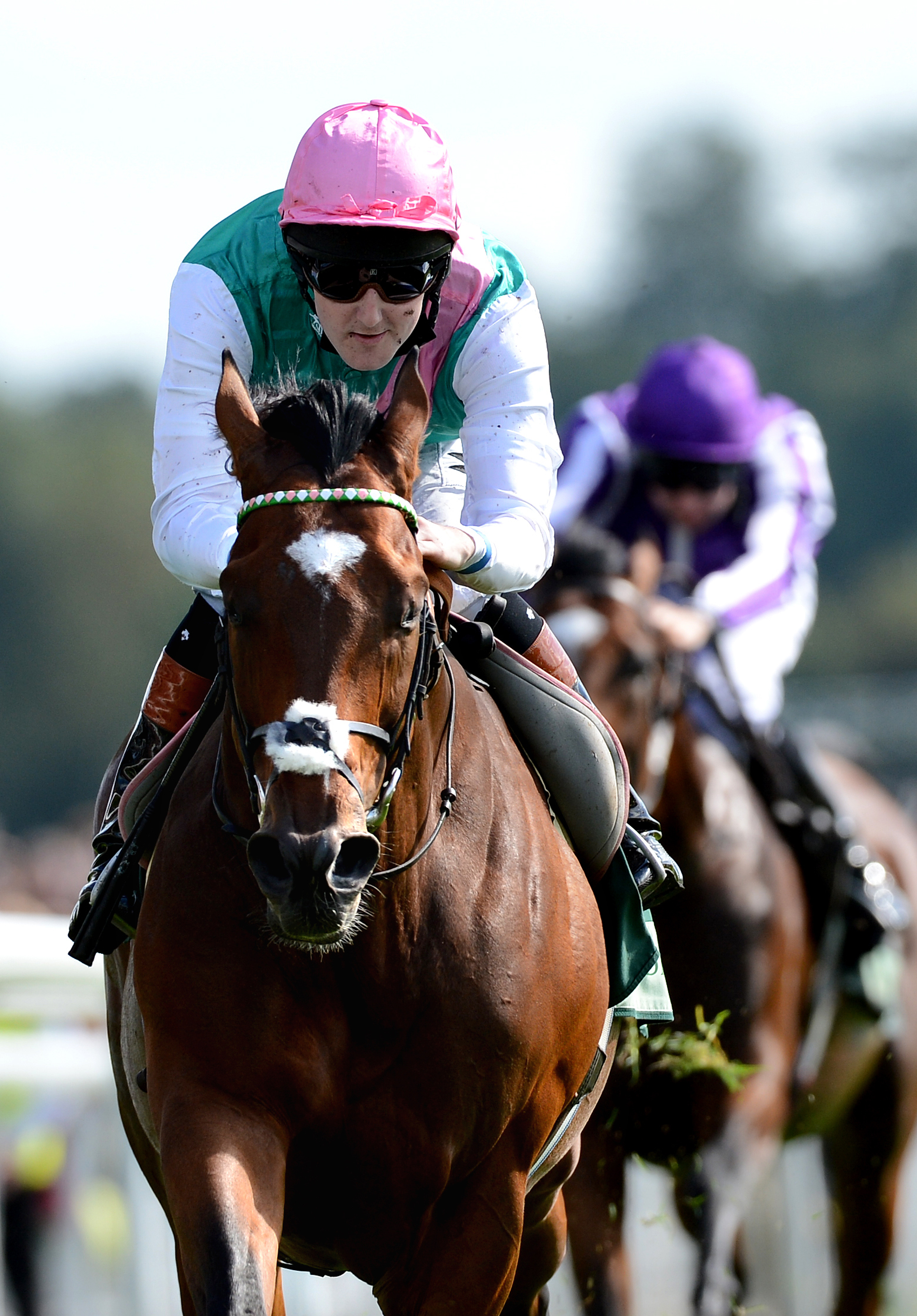 Frankel finishes career 14 for 14