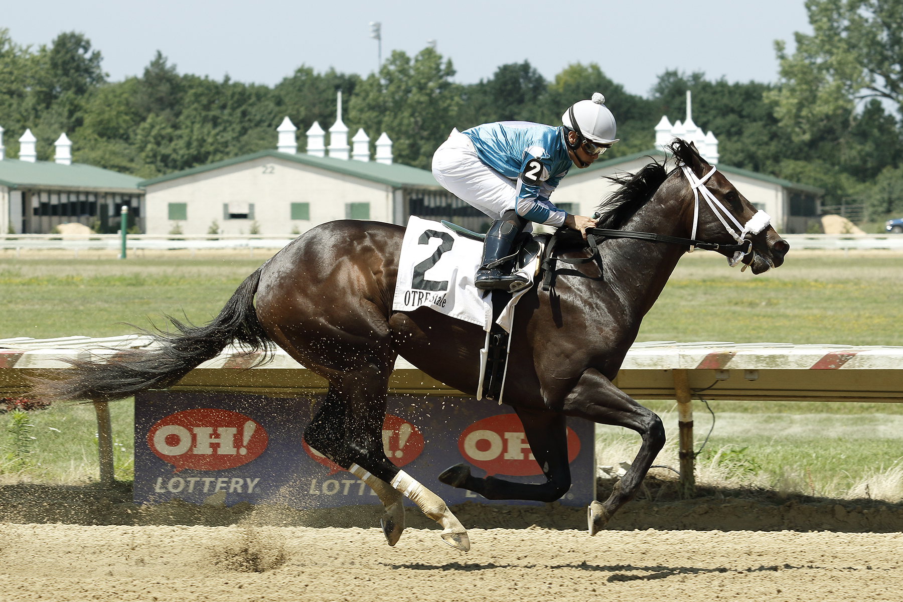 Magic Tale wins the 2018 Cleveland Kindergarten