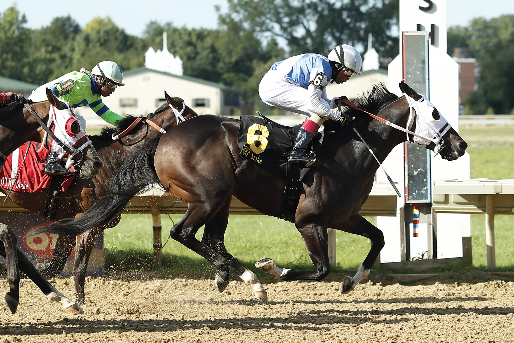 Mobil Solution wins the 2018 Catlaunch Stakes