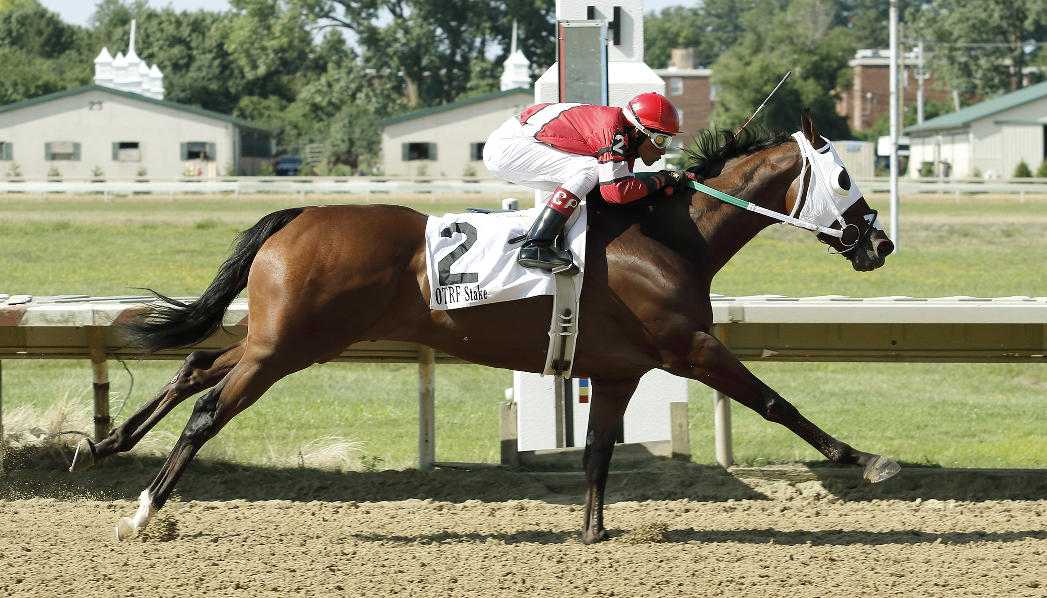 Altissimo wins 2018 Honey Jay Stakes