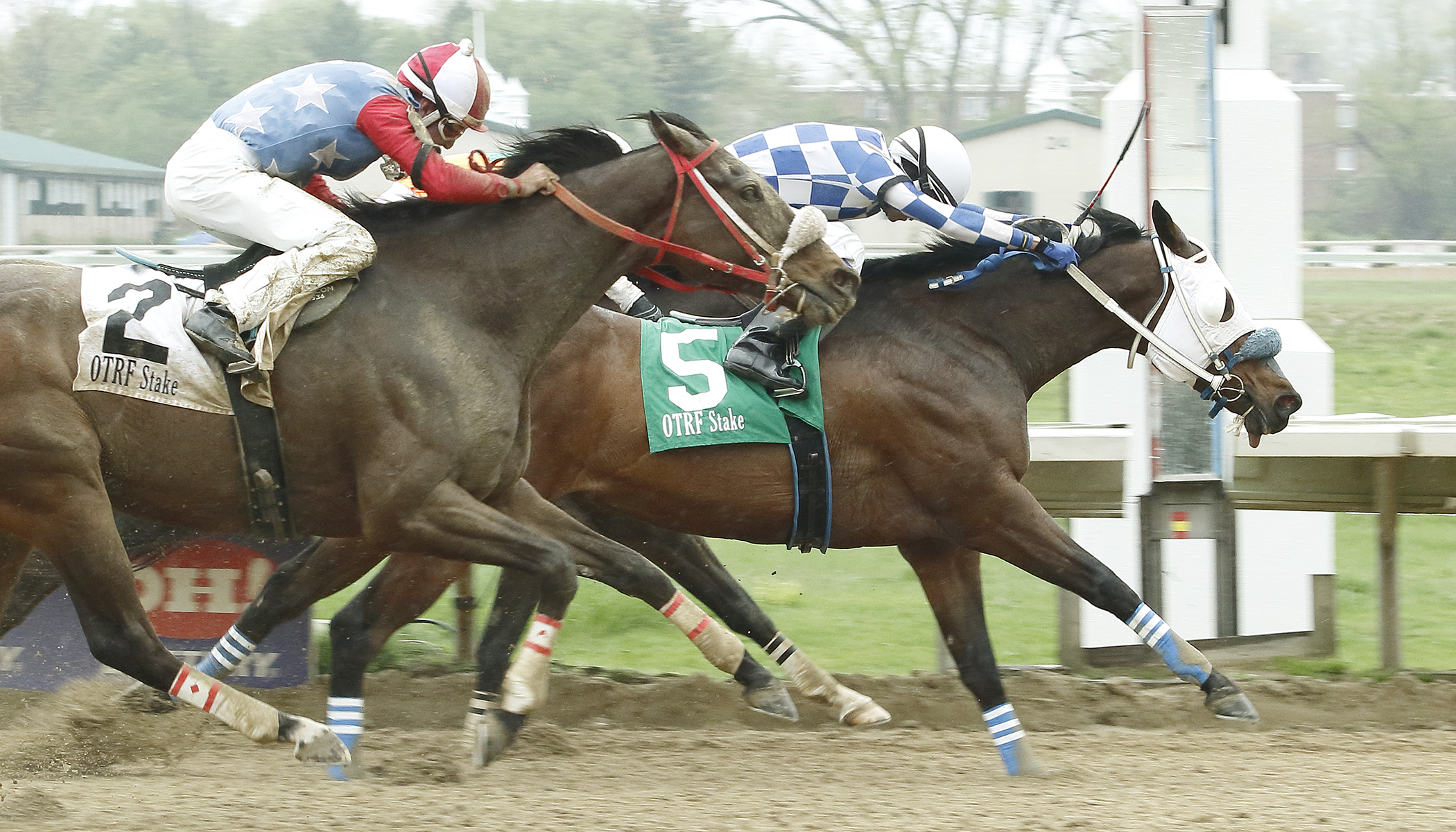 Buckeye Bullet (No. 5) wins the 2018 Rowland Memorial Handicap