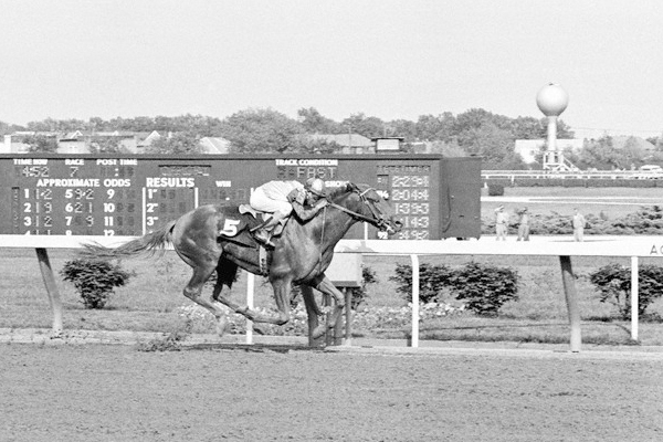 Chateaugay - 1963 Belmont Stakes