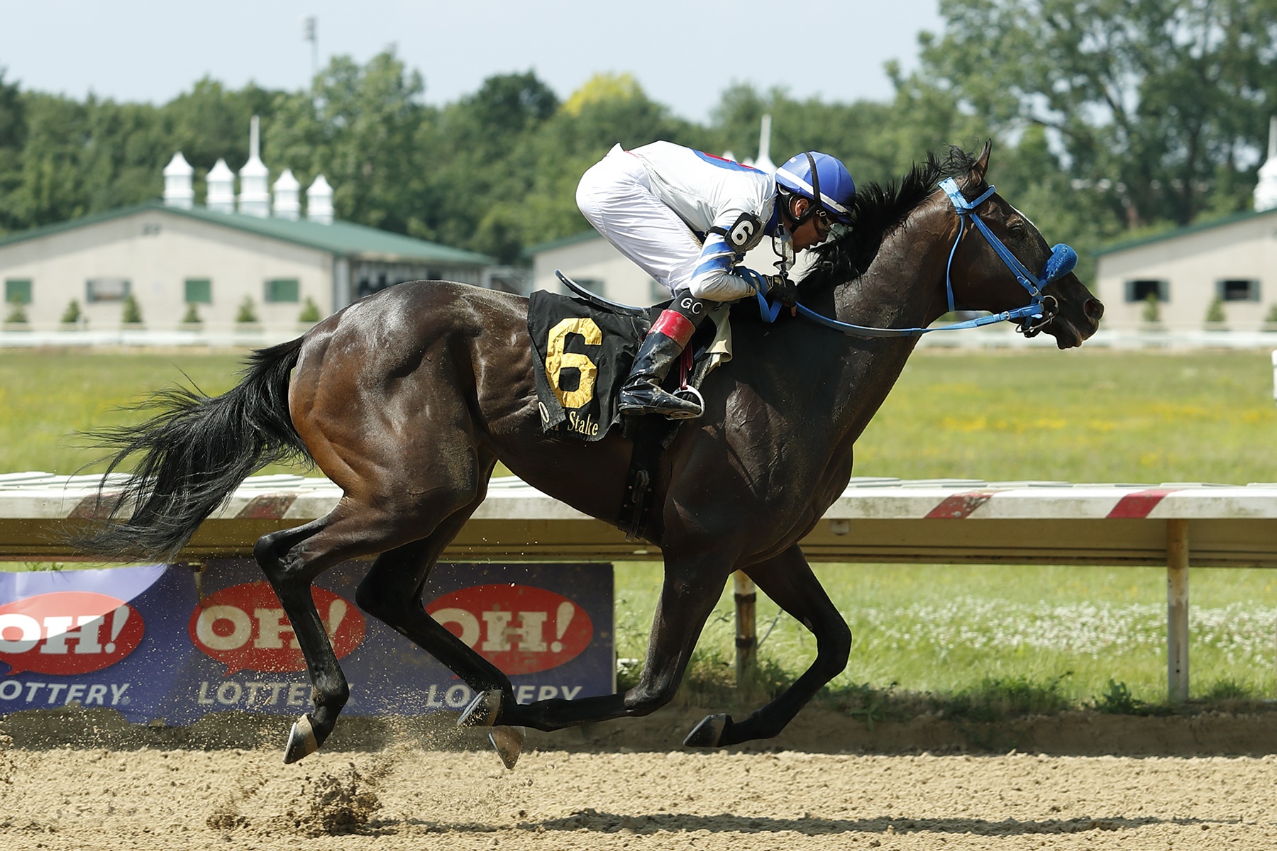 Send Me On wins the 2019 Cleveland Gold Cup