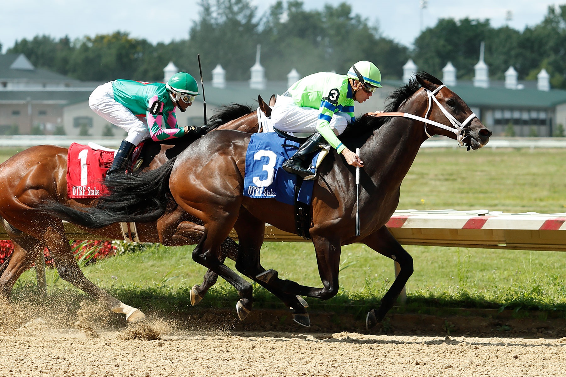 Brown Buckeye wins the 2019 Honey Jay Stakes