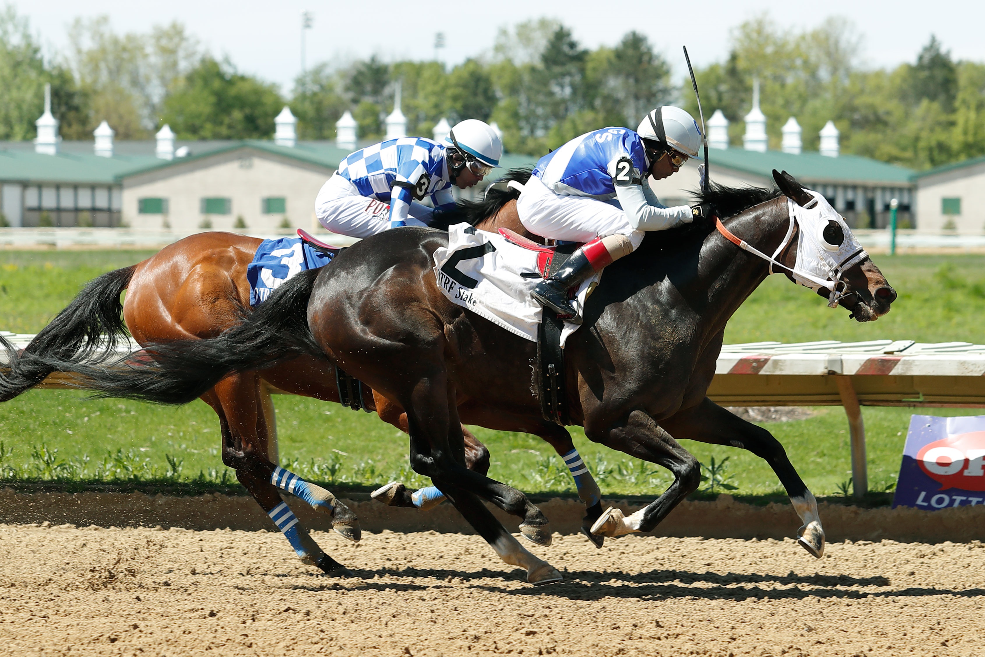 Mobil Solution wins the 2019 Michael F. Rowland Memorial