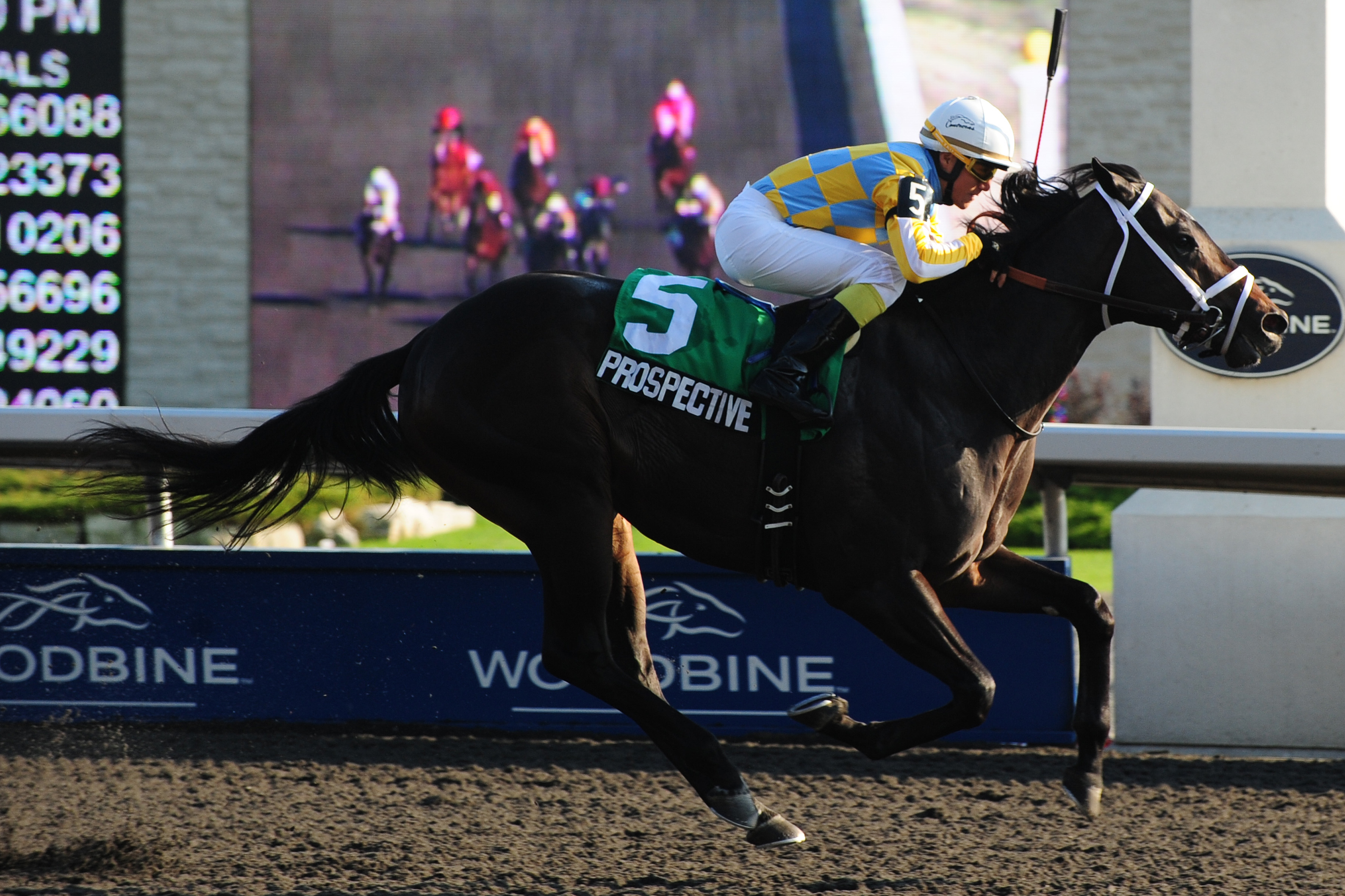 Prospective 10-9-2011