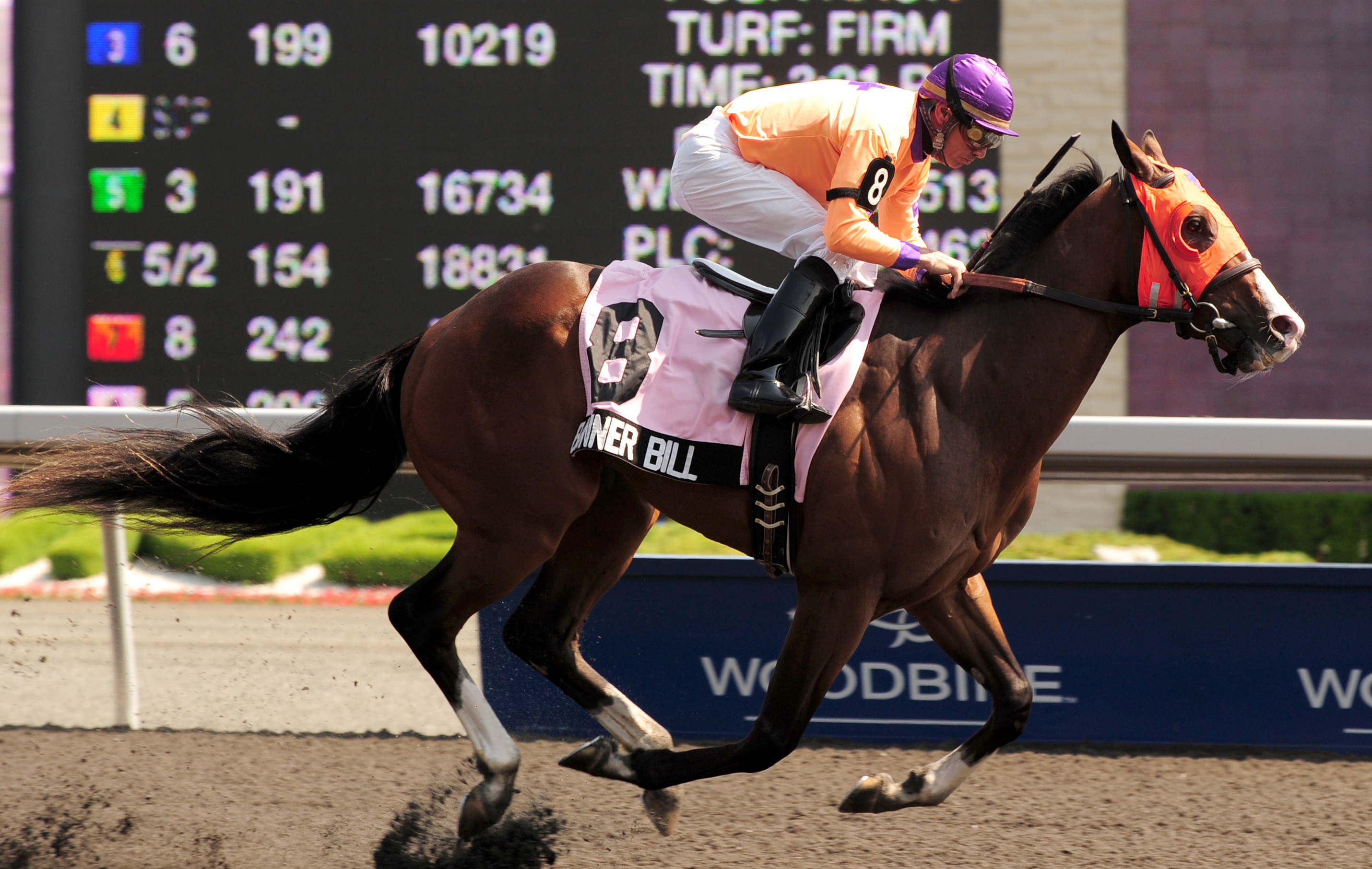 Banner Bill/Woodbine