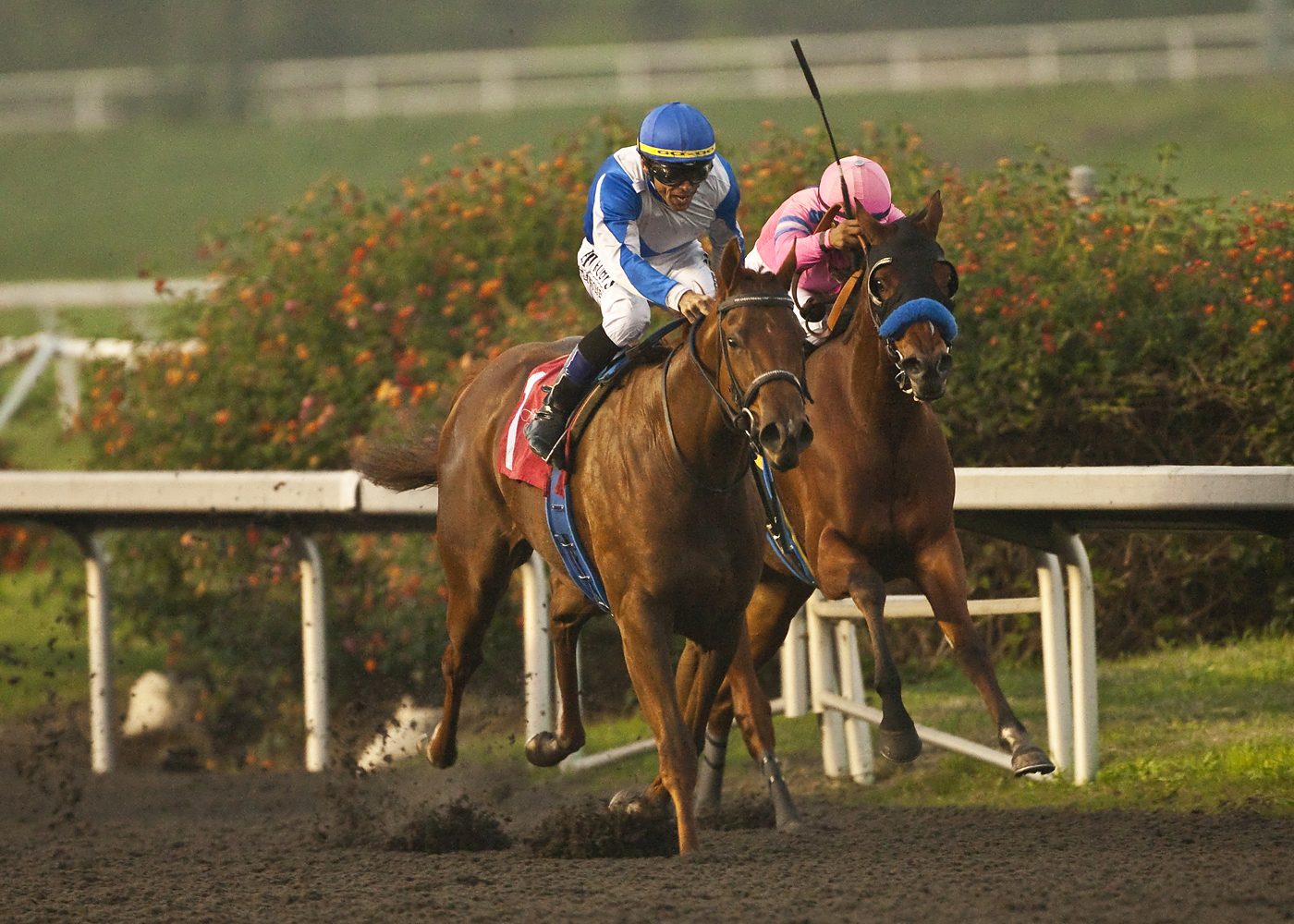 Pure Fun appears headed to Arkansas to start 2013