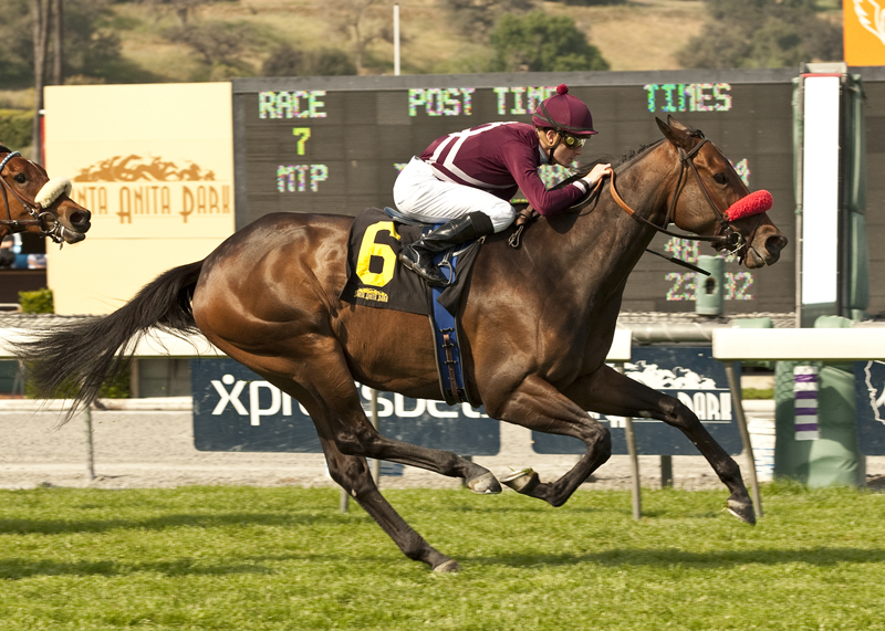 Tiz Flirtatious 3-24-2013