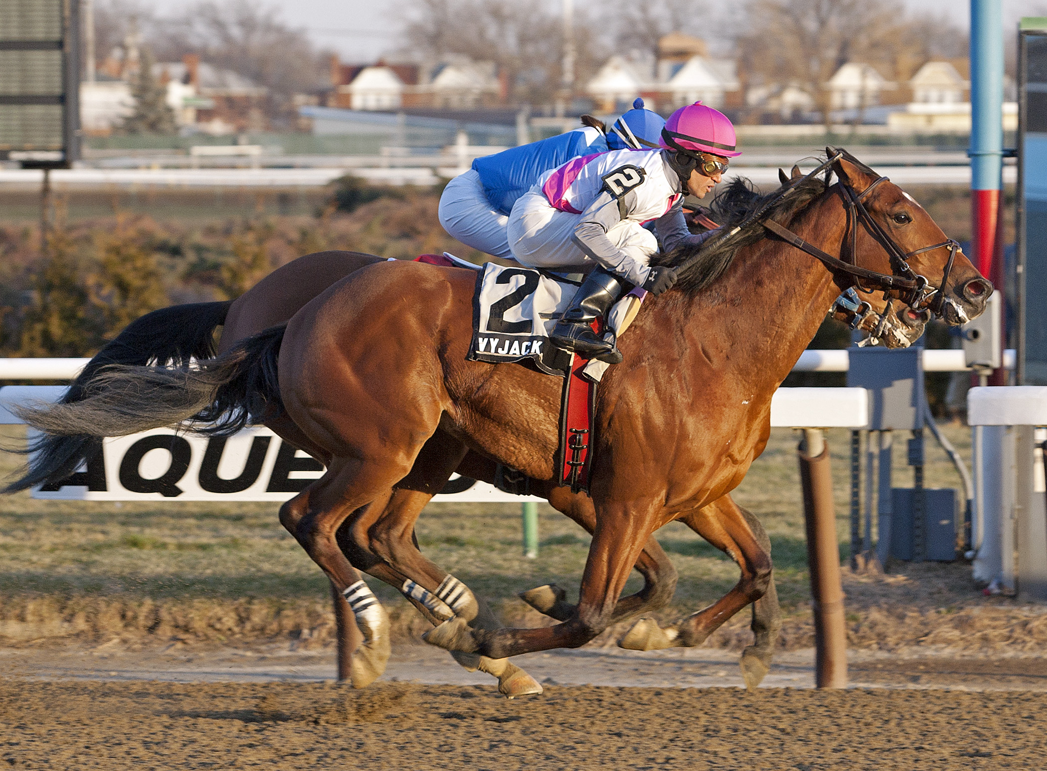 Vyjack 1-5-13