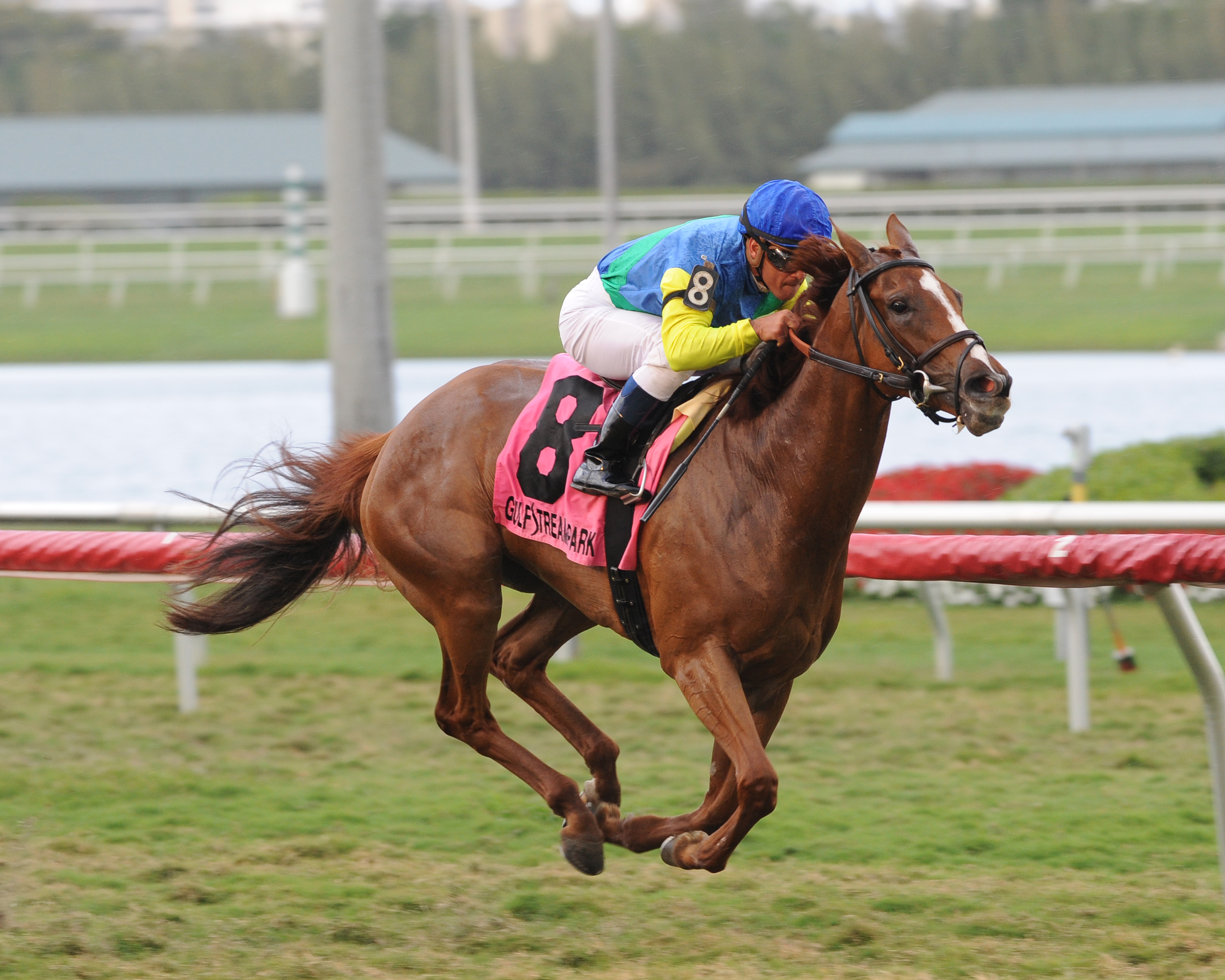 Dayatthespa 3-11-2012