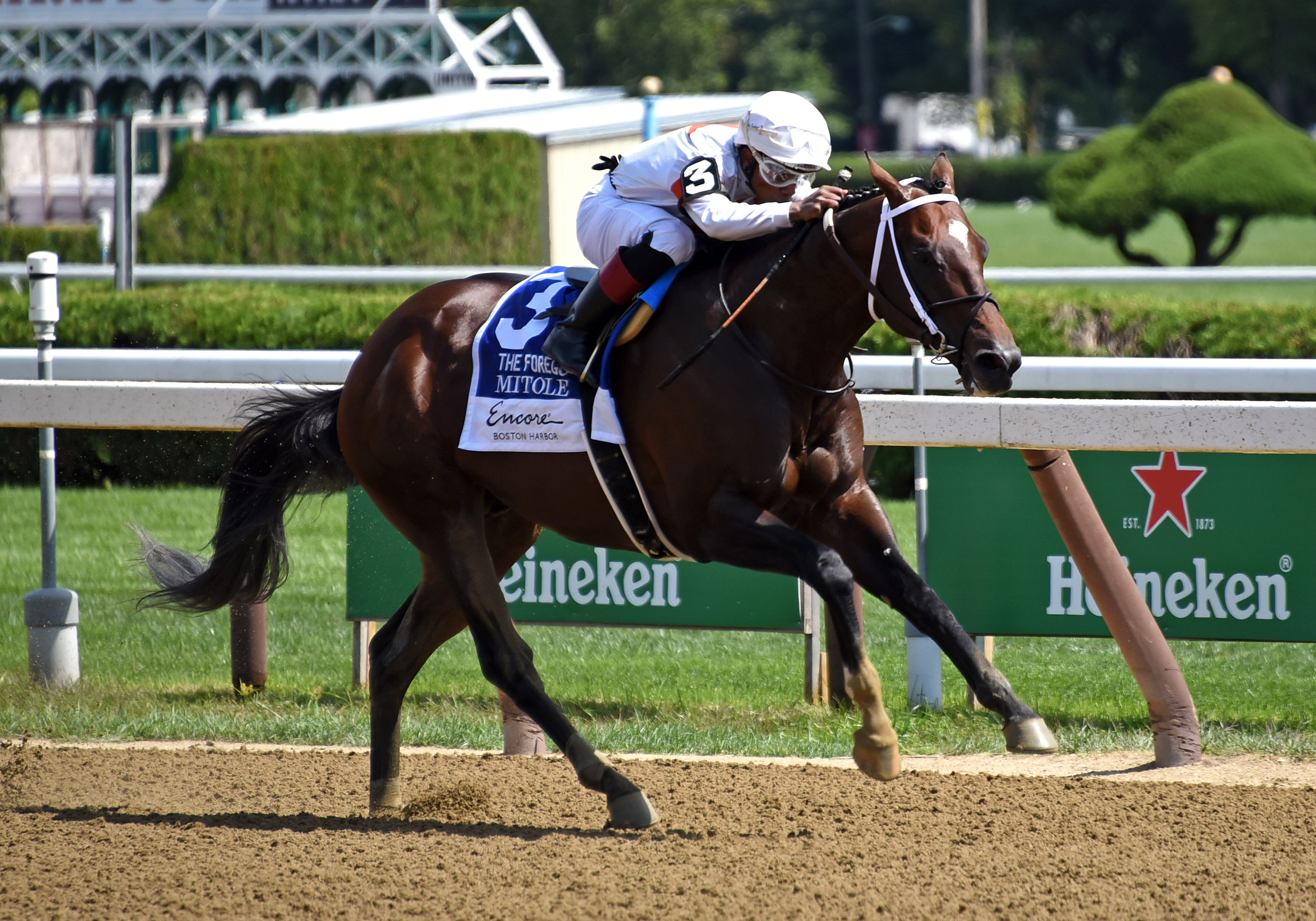 Mitole wins the 2019 Forego Stakes
