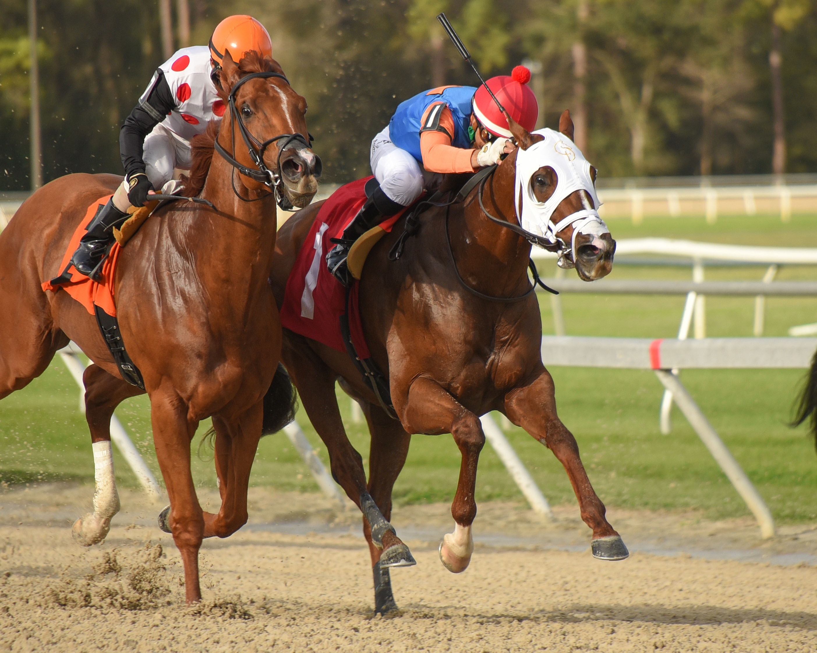 Zenden wins Pelican 2-13-2021
