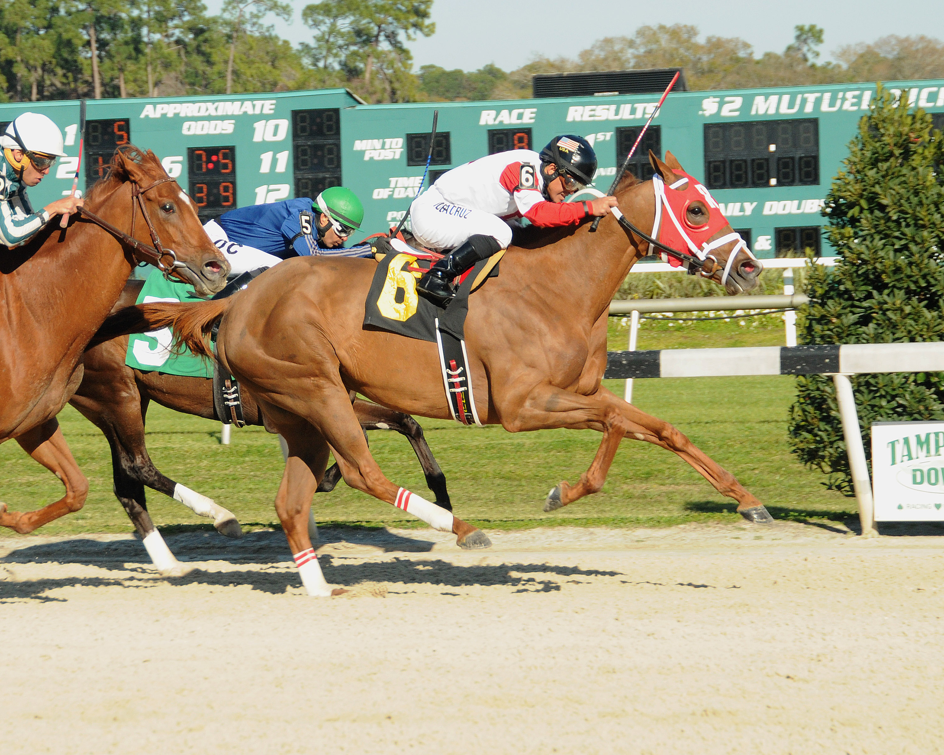 Awesome Flower wins 2015 Wayward Lass
