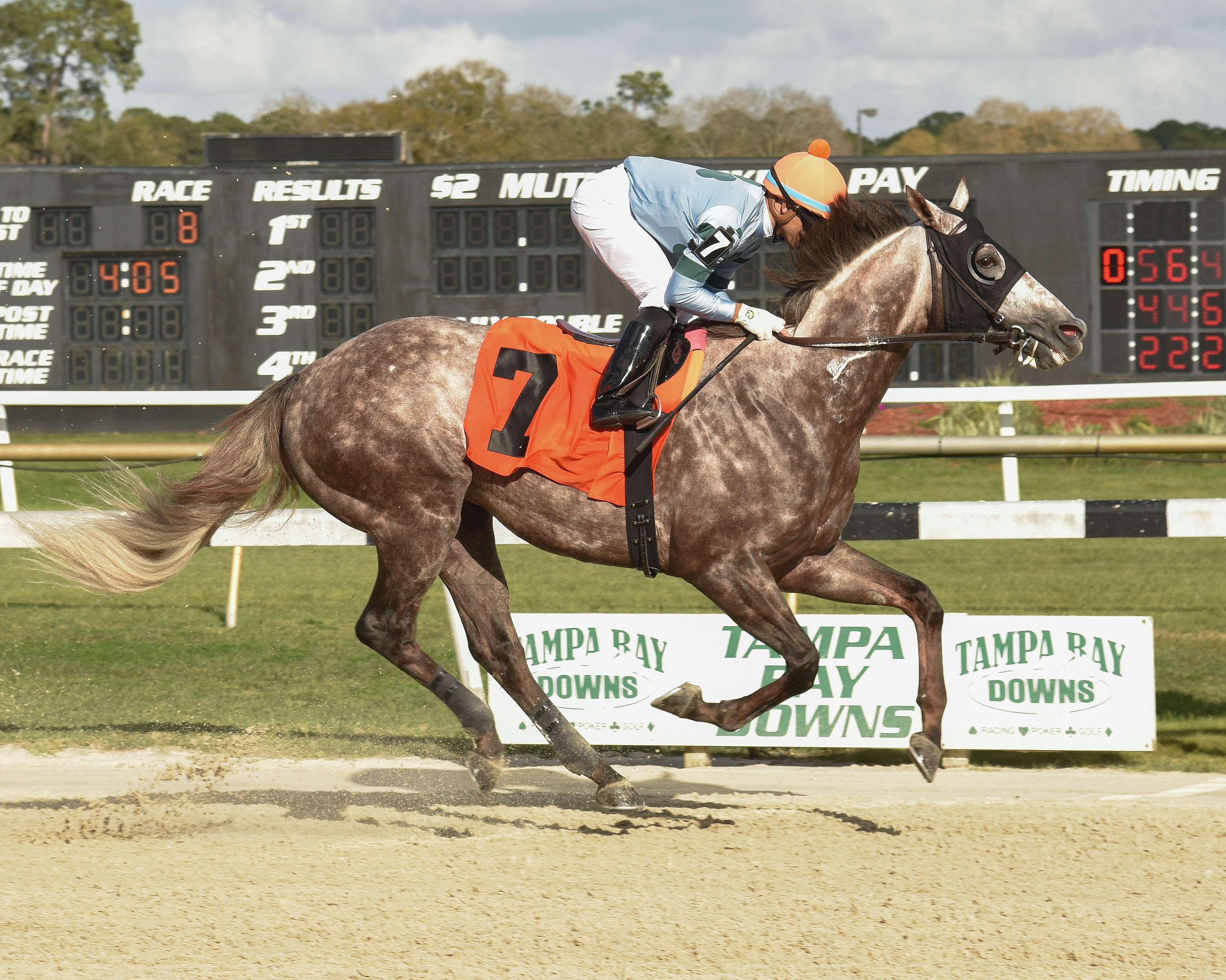 Killybegs Captain wins the 2020 Pelican Stakes at Tampa Bay Downs