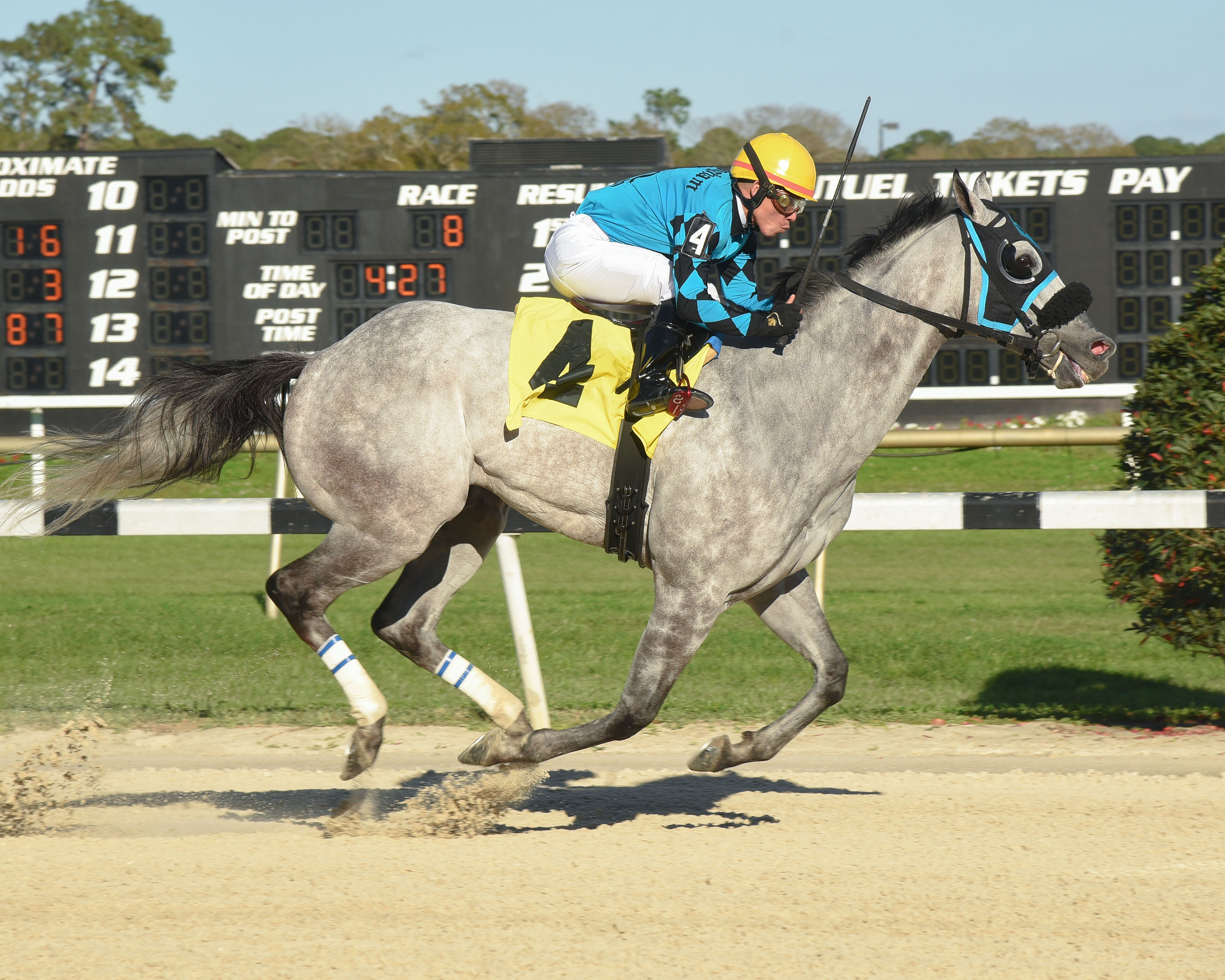 X Y Jet wins the 2018 Pelican