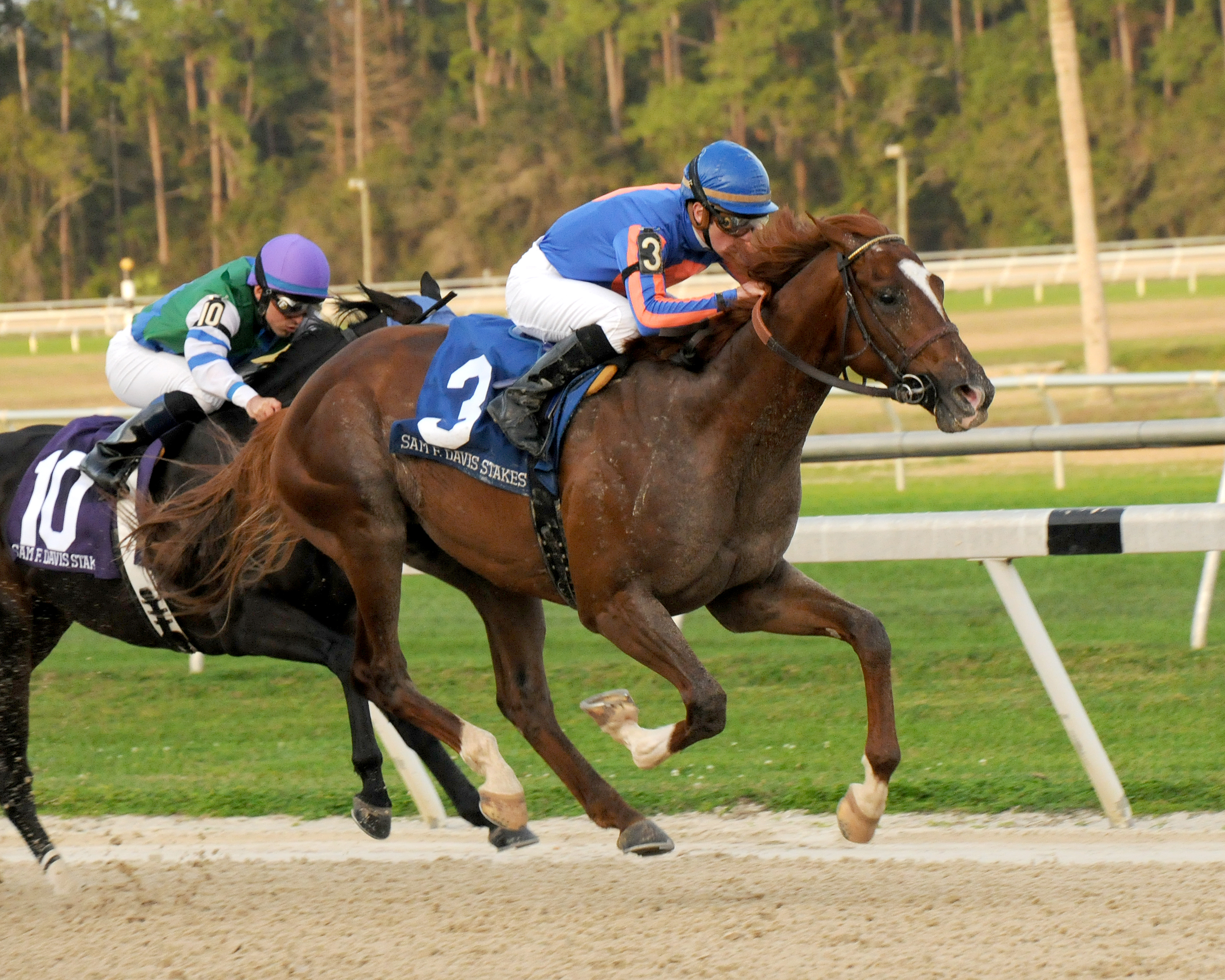 Battle Hardened 2-4-2012
