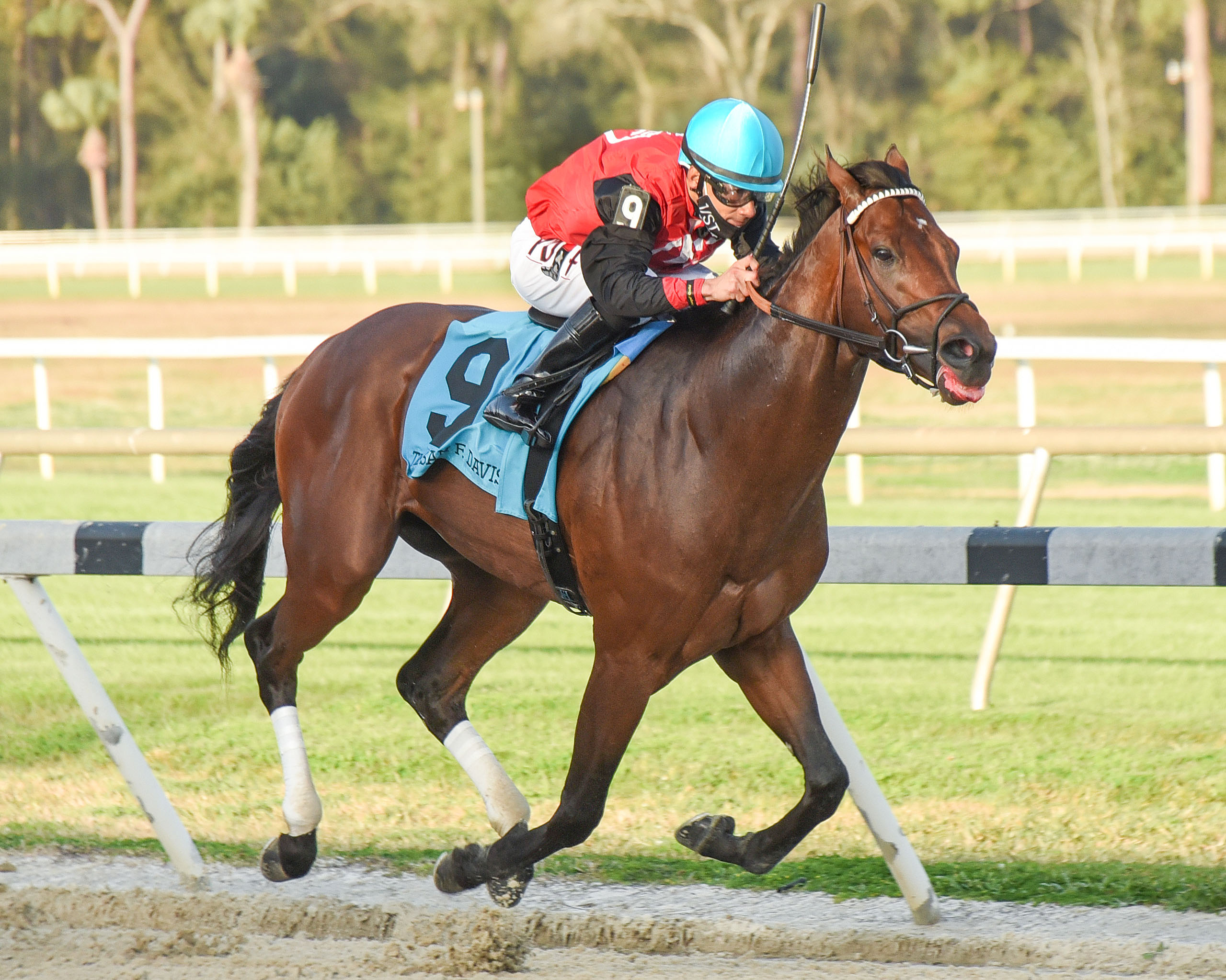Candy Man Rocket wins Sam Davis 2-6-2021