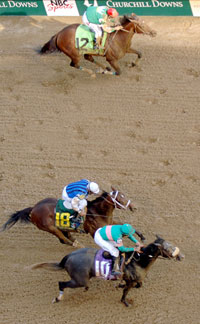 2005 Kentucky Derby finish