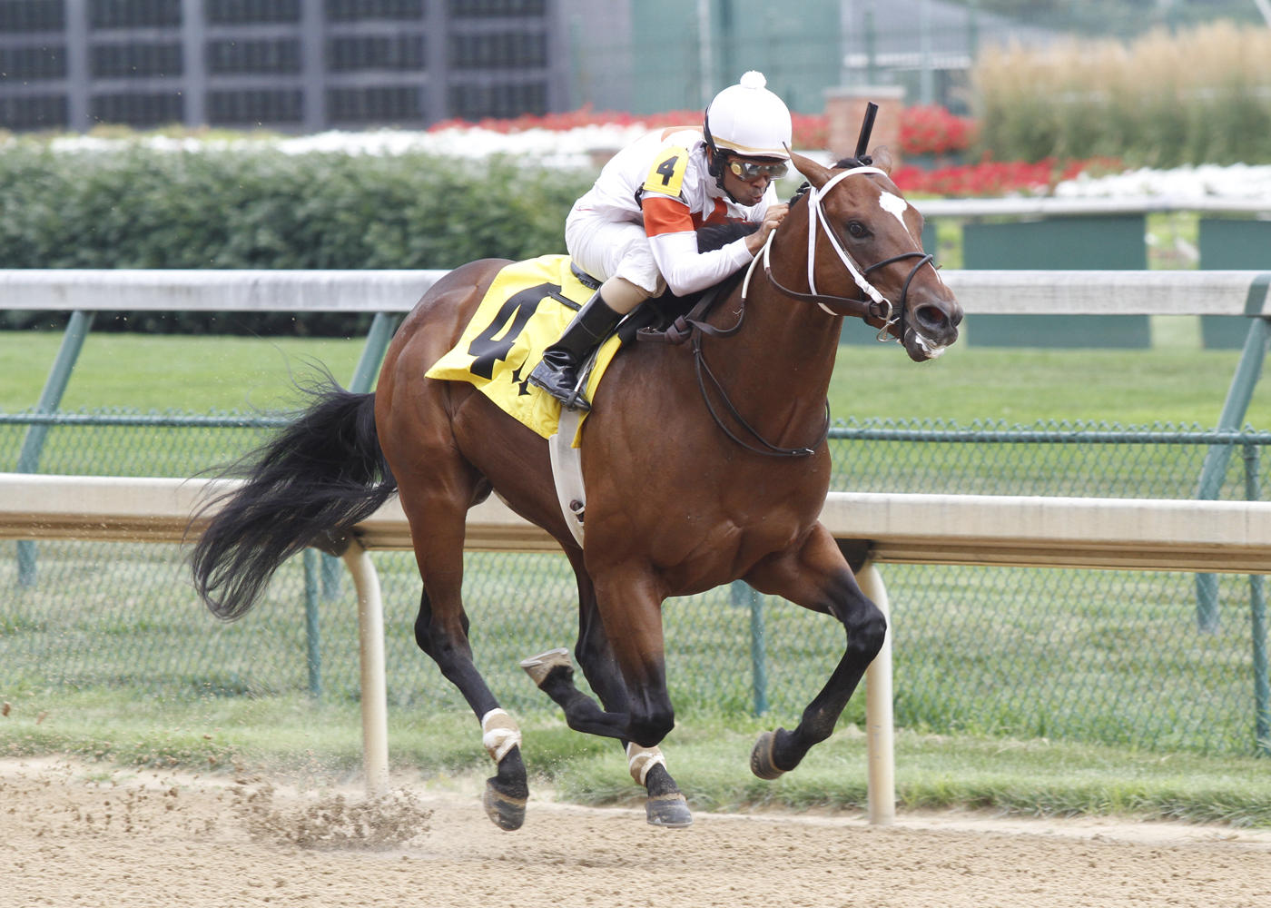 Cinco Charlie doubles up for Asmussen in Bashford Manor