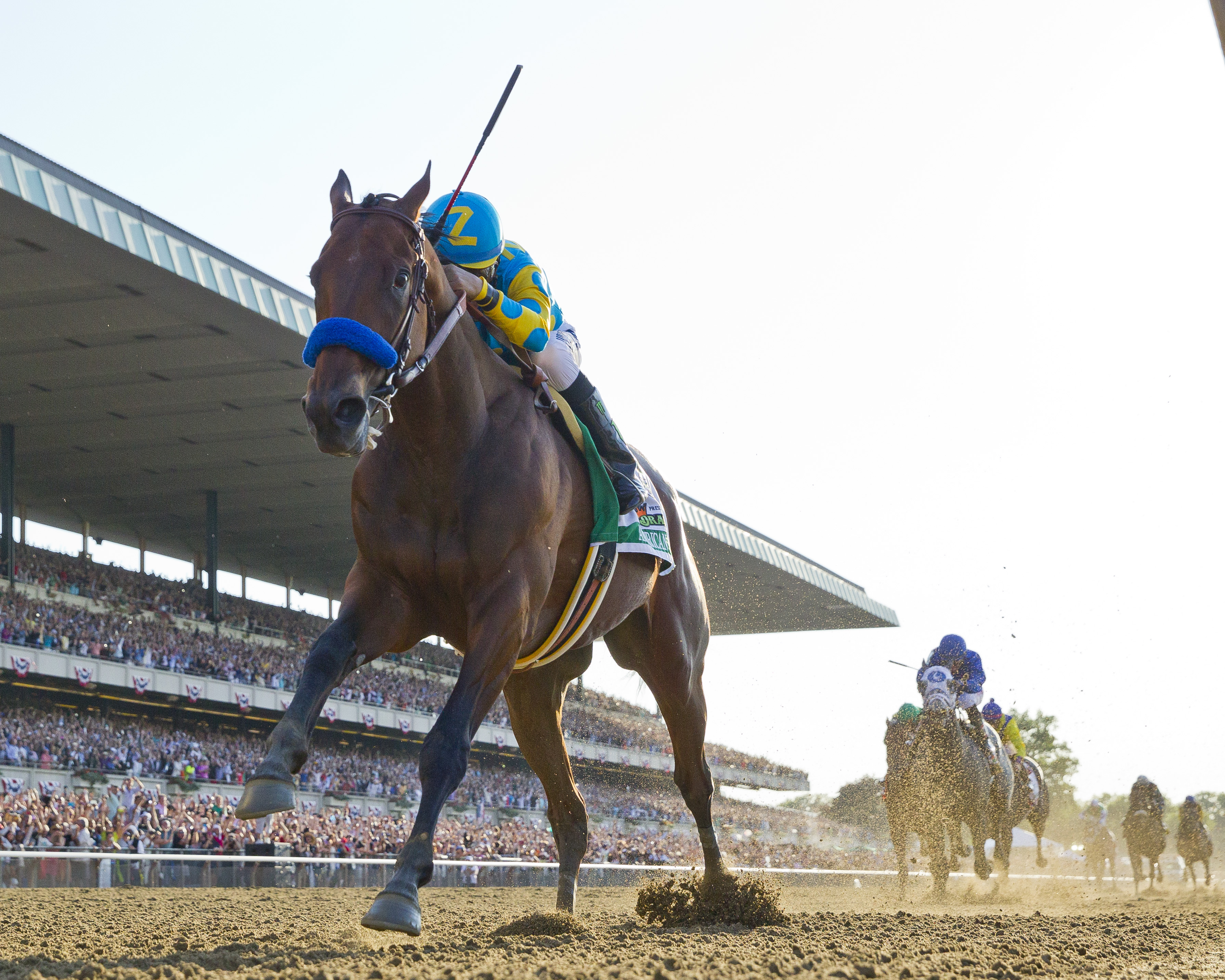 American Pharoah